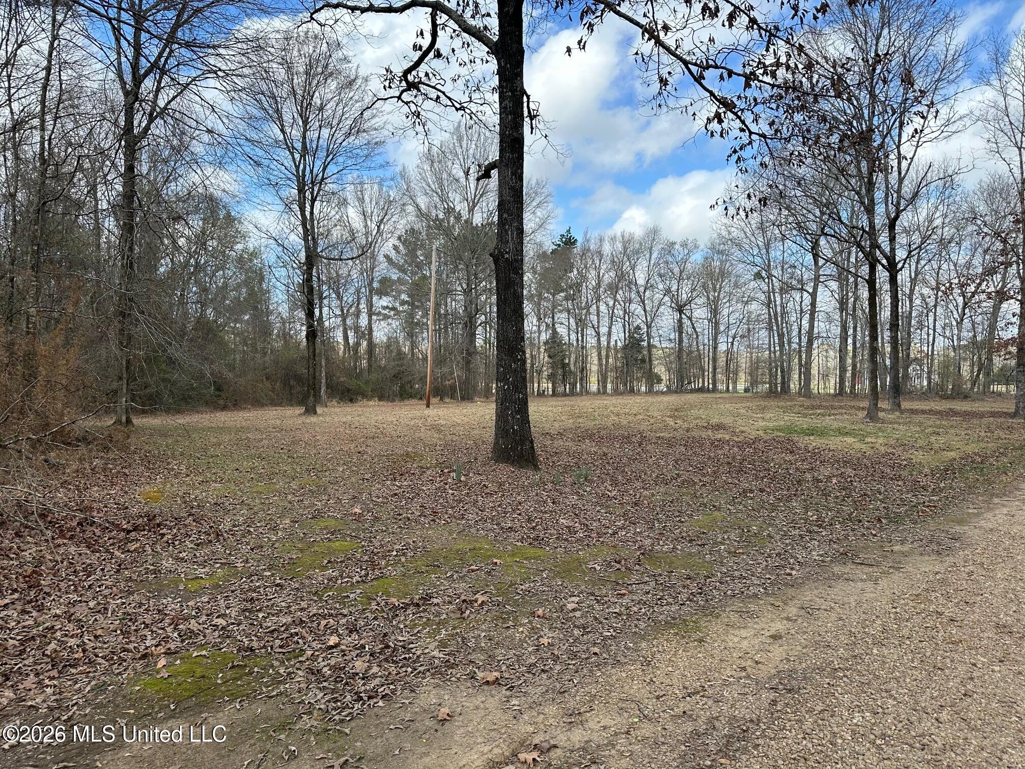 10.2 Acres Barnes Road Property Photo 4