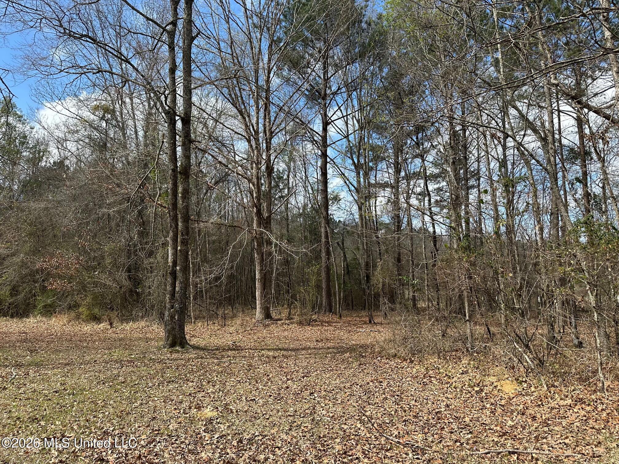 10.2 Acres Barnes Road Property Photo 5