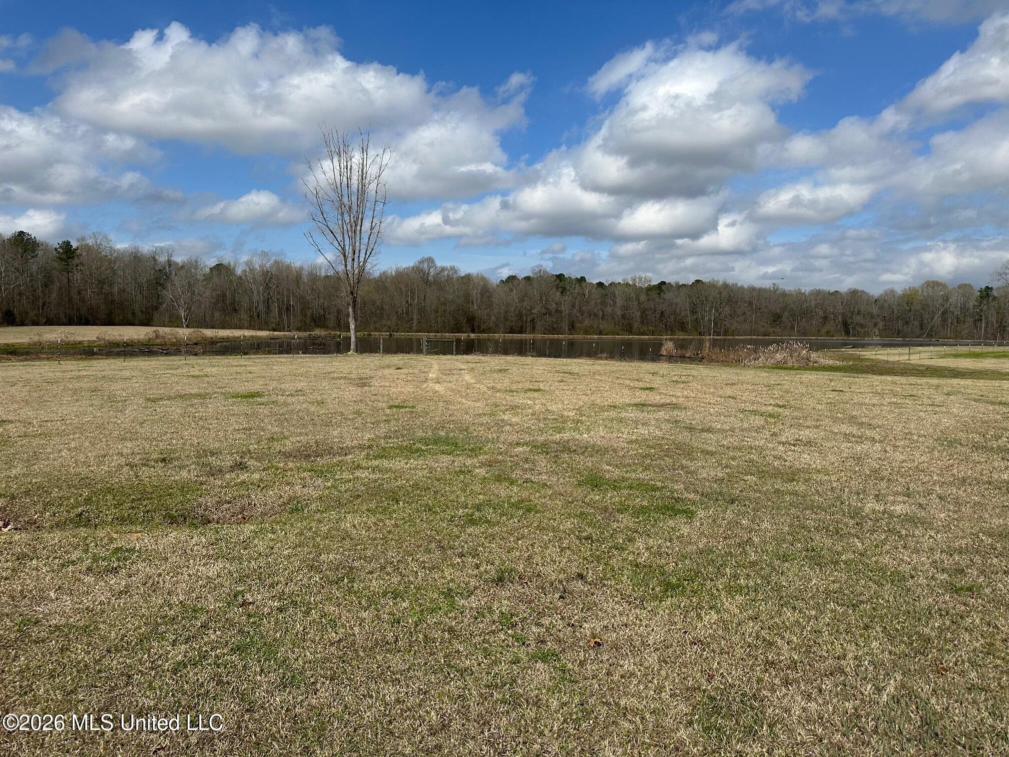 10.2 Acres Barnes Road Property Photo 8