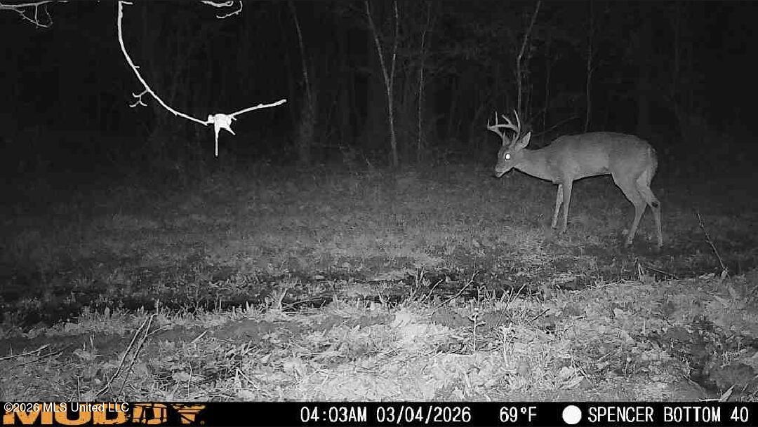 Bogue Chitto Road Property Photo 2