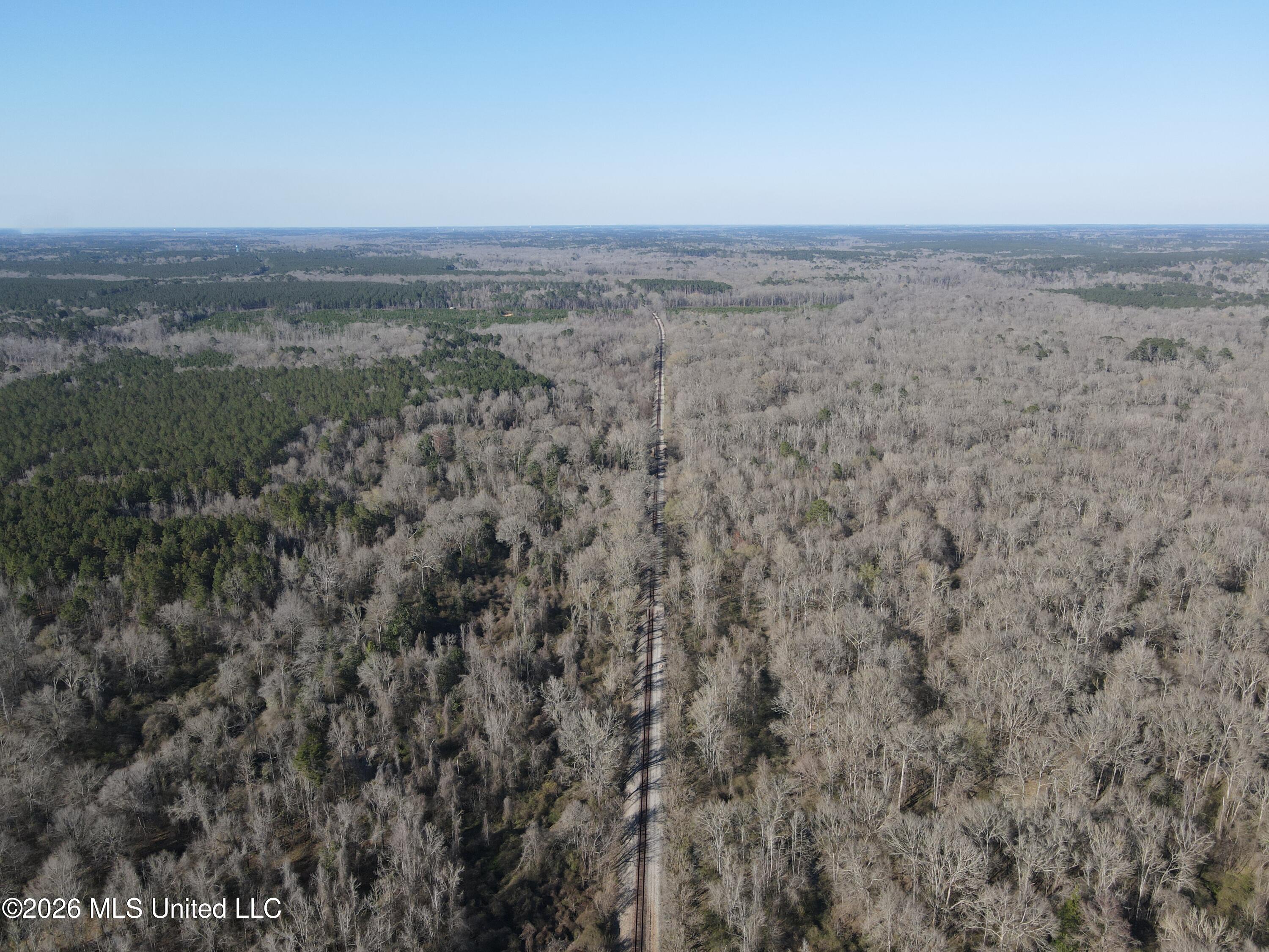 Bogue Chitto Road Property Photo 4