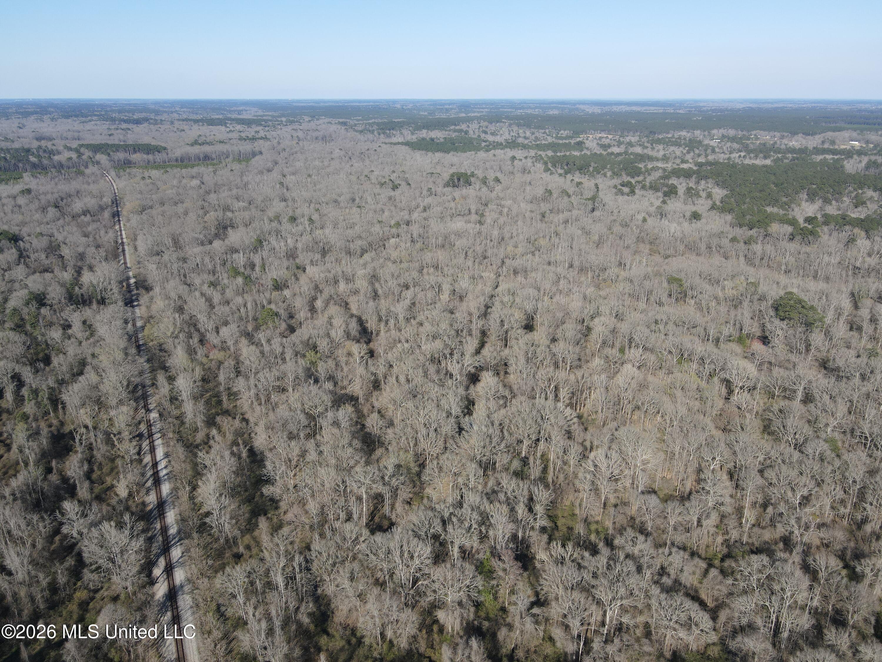 Bogue Chitto Road Property Photo 5