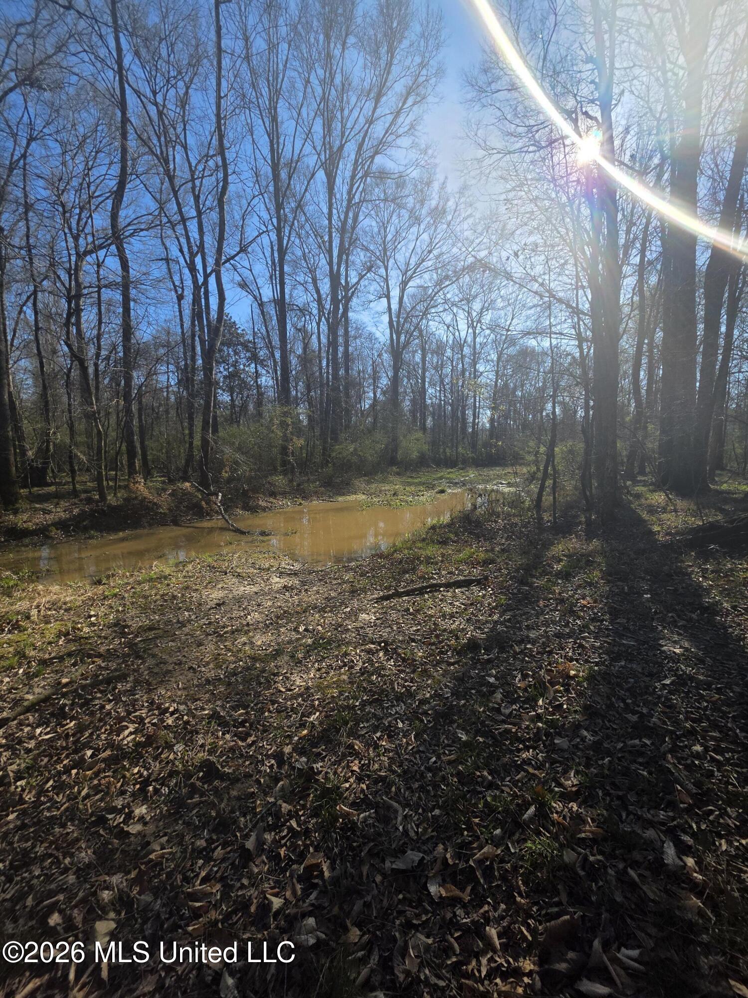 Bogue Chitto Road Property Photo 9