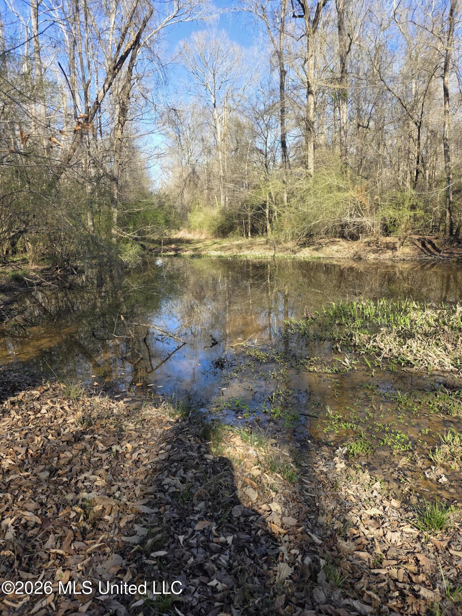 Bogue Chitto Road Property Photo 10