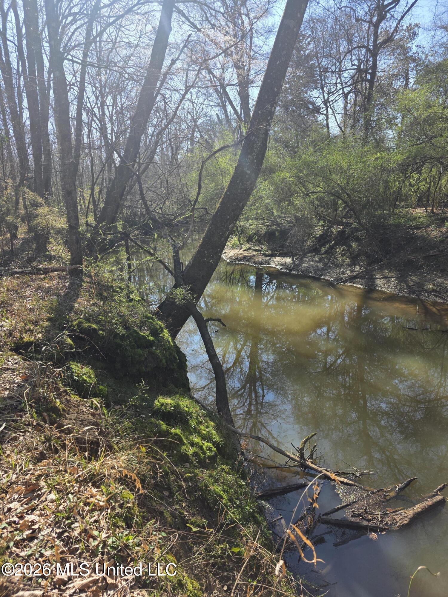 Bogue Chitto Road Property Photo 12