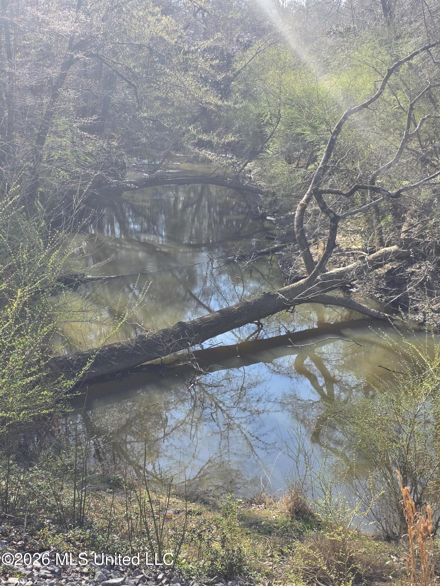 Bogue Chitto Road Property Photo 15