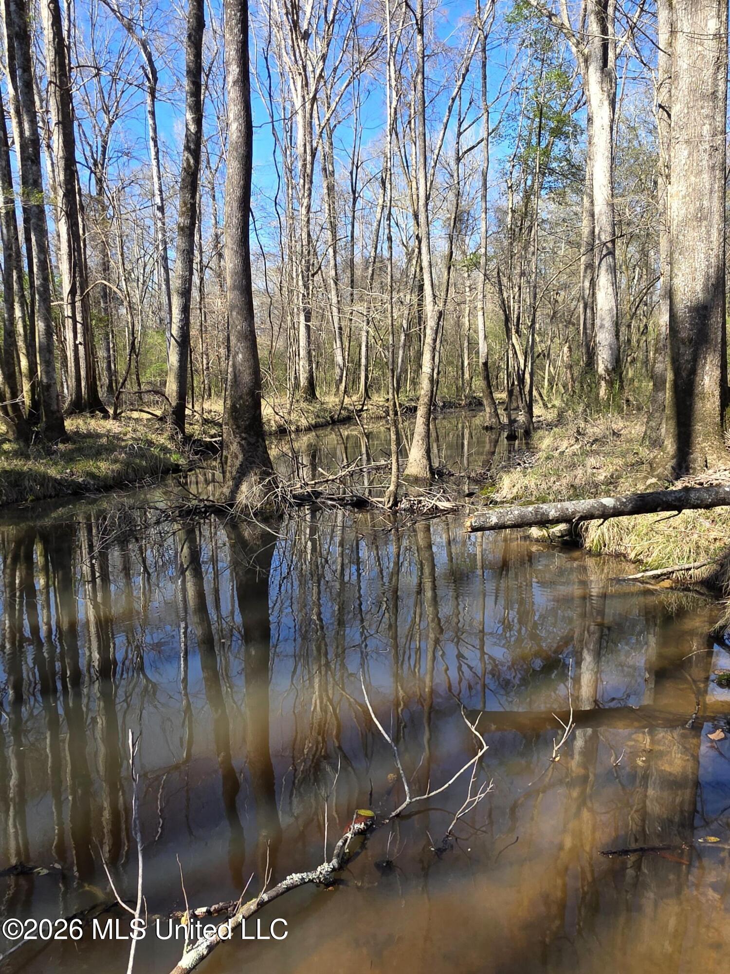 Bogue Chitto Road Property Photo 22