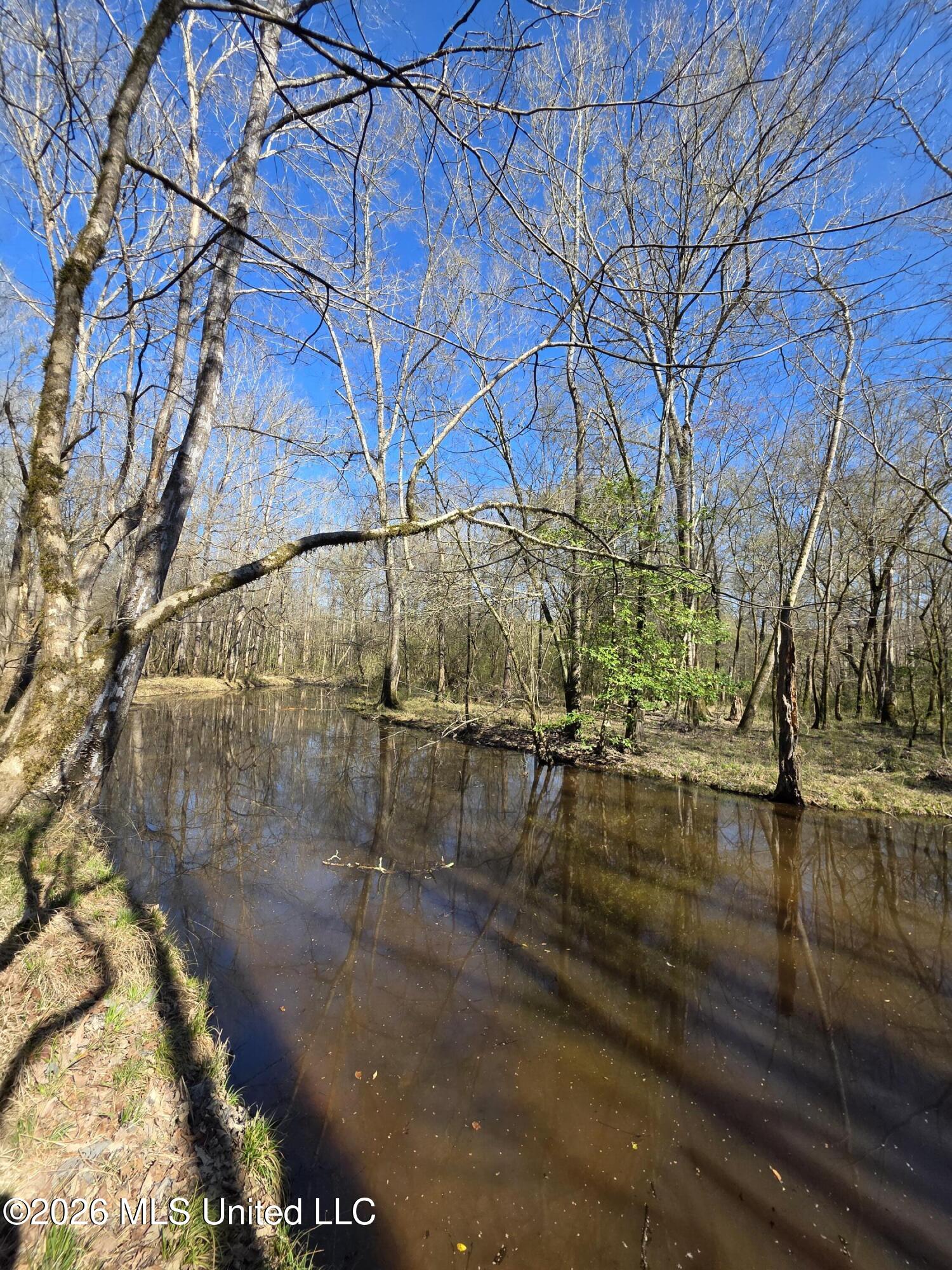 Bogue Chitto Road Property Photo 24
