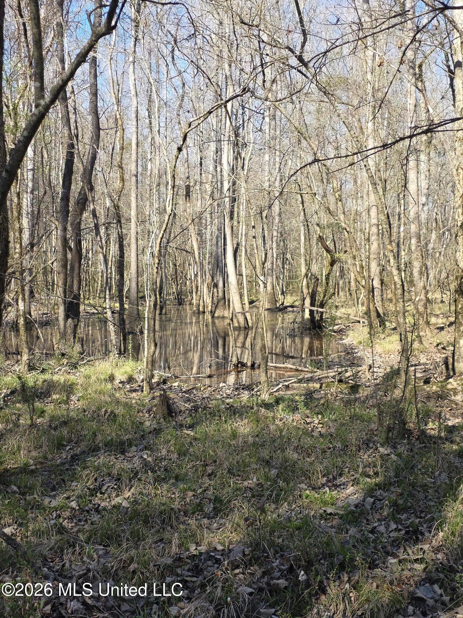 Bogue Chitto Road Property Photo 25