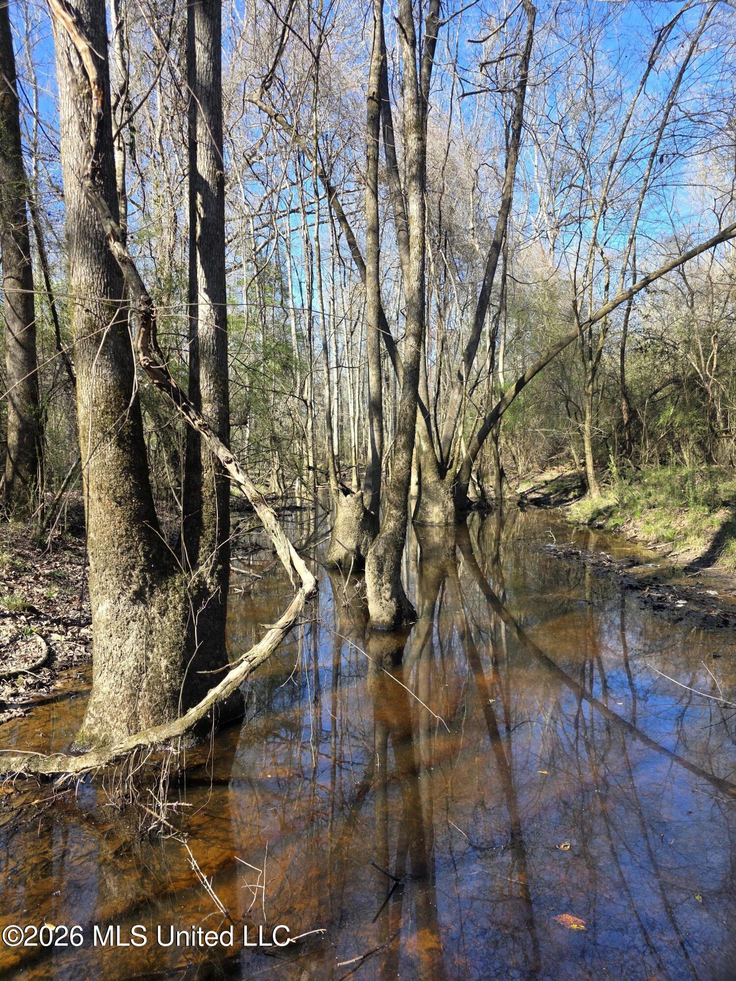 Bogue Chitto Road Property Photo 30