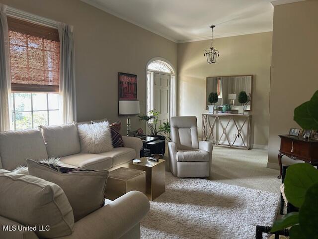 21 Oakhurst Drive Property Photo 2