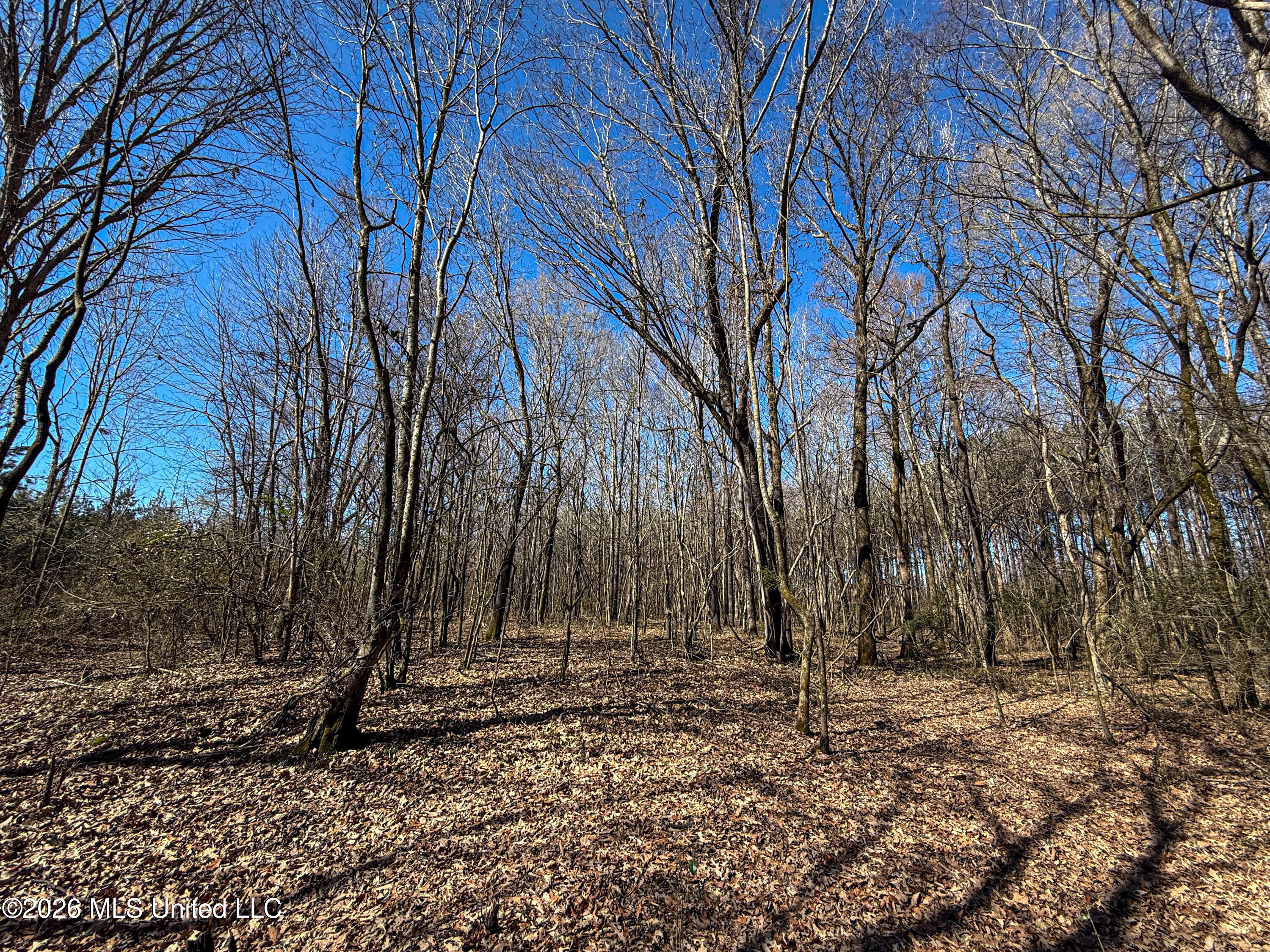 Ms-9 Property Photo 15