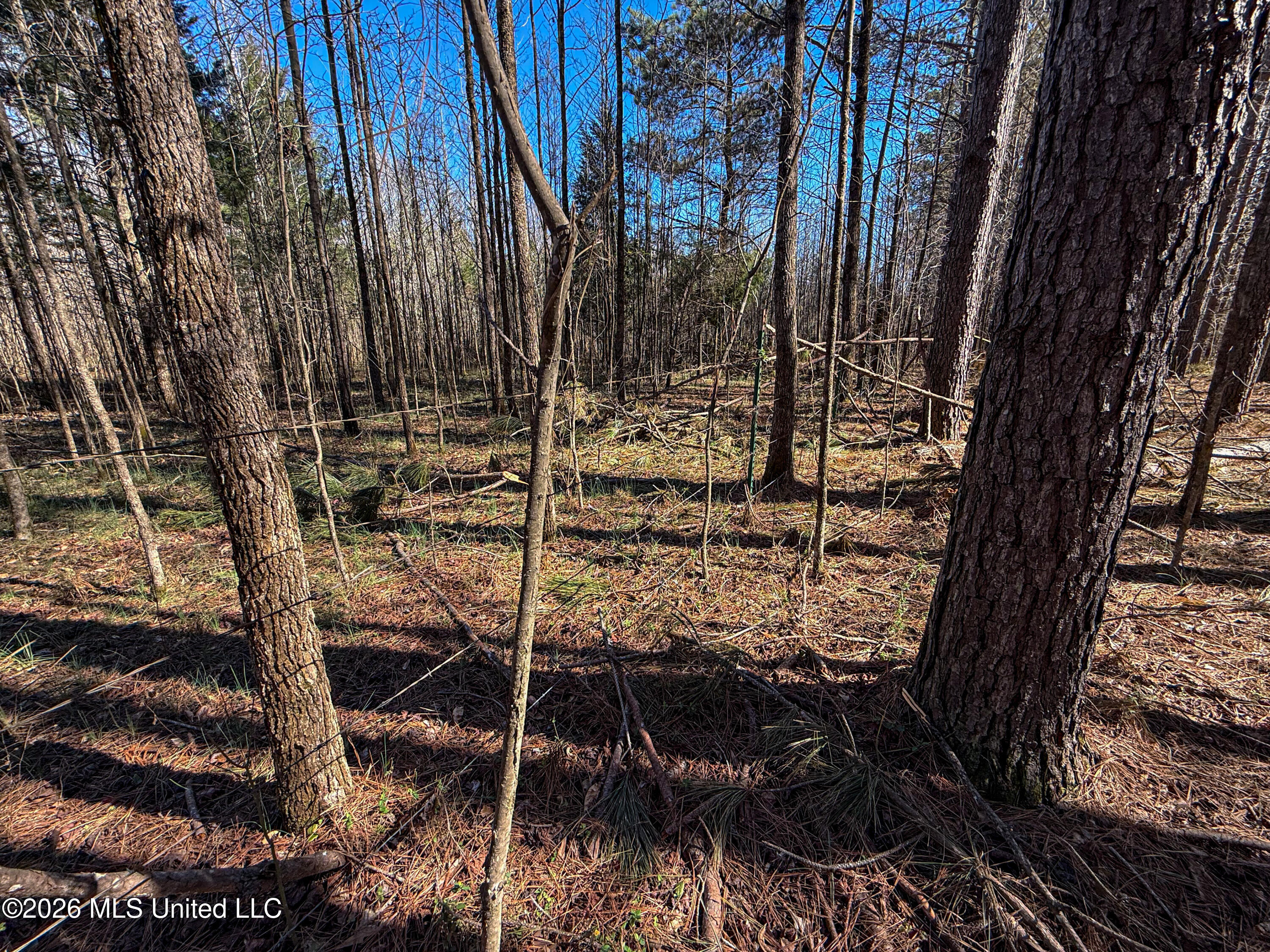Ms-9 Property Photo 22