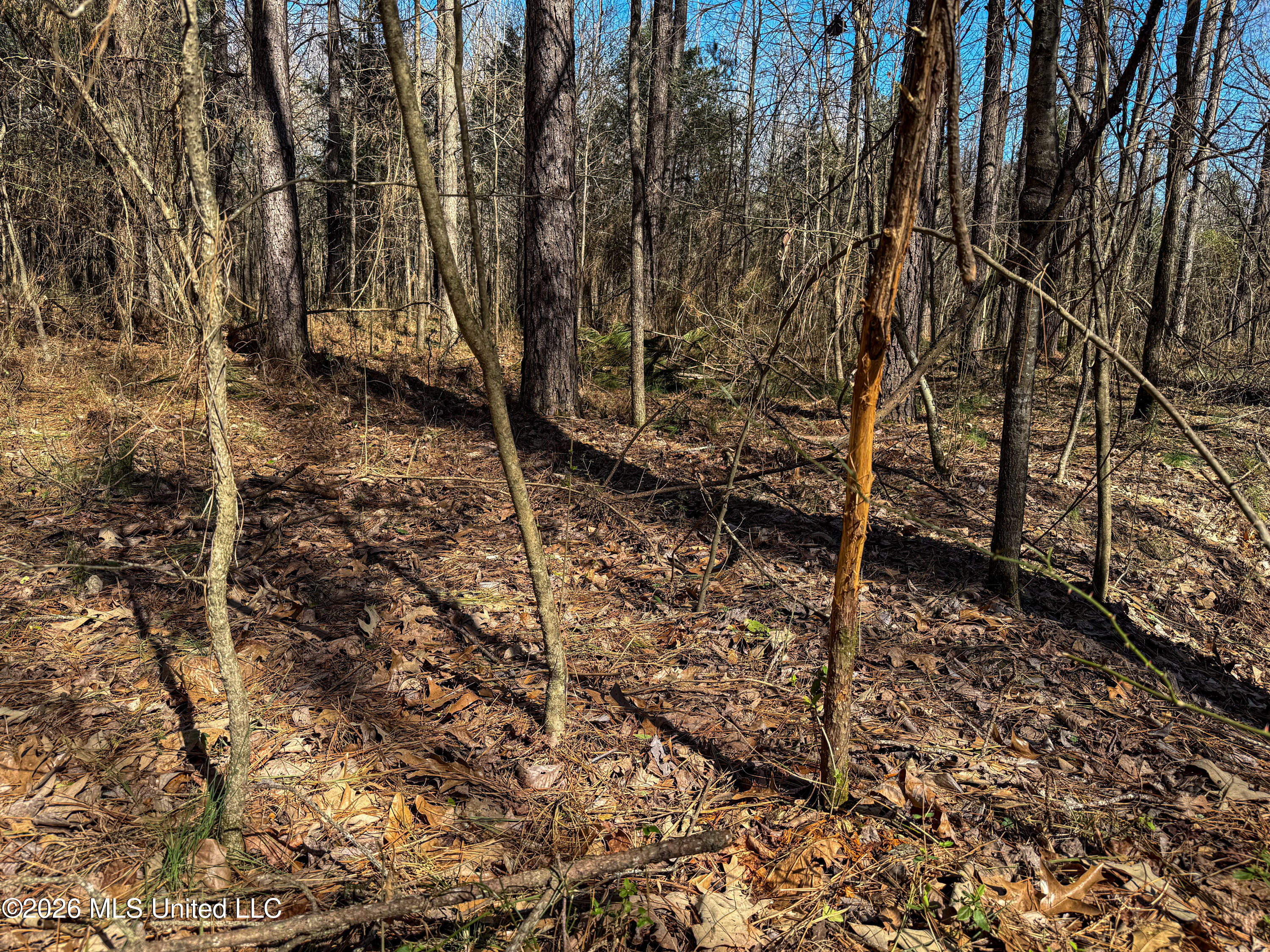 Ms-9 Property Photo 24