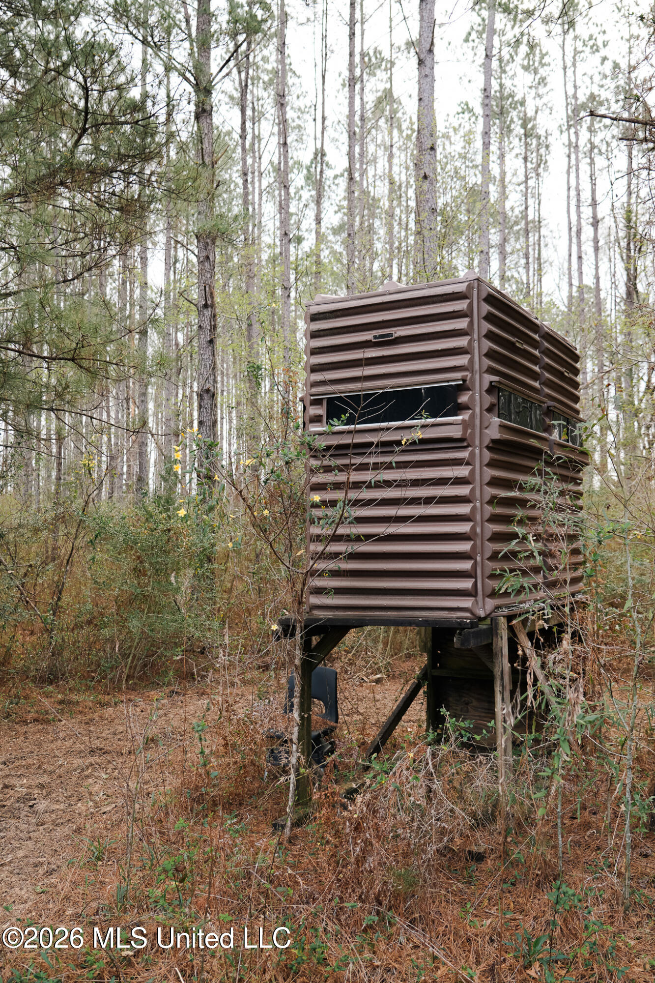 Frog Ridge Road Property Photo 3