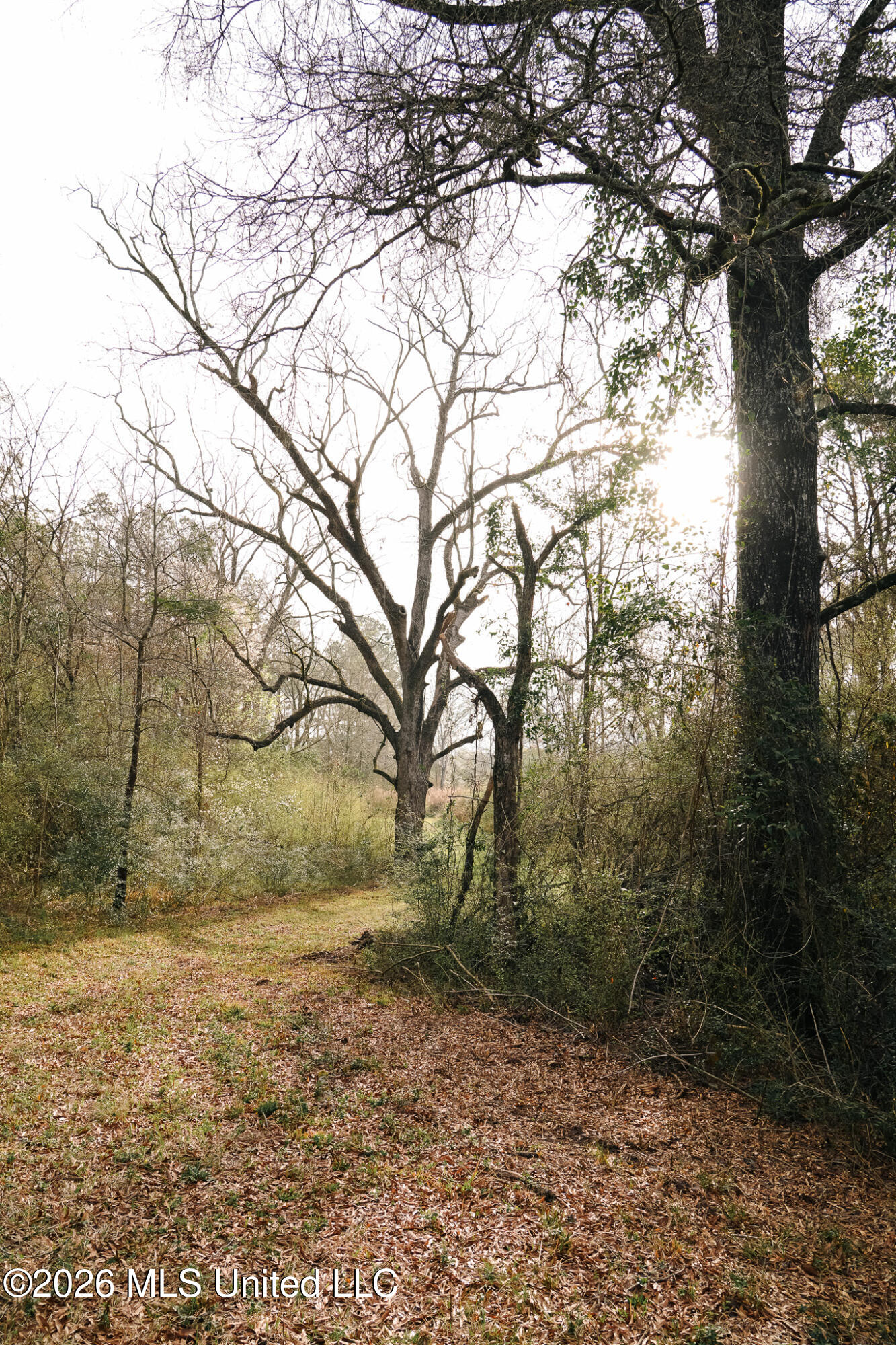 Frog Ridge Road Property Photo 4