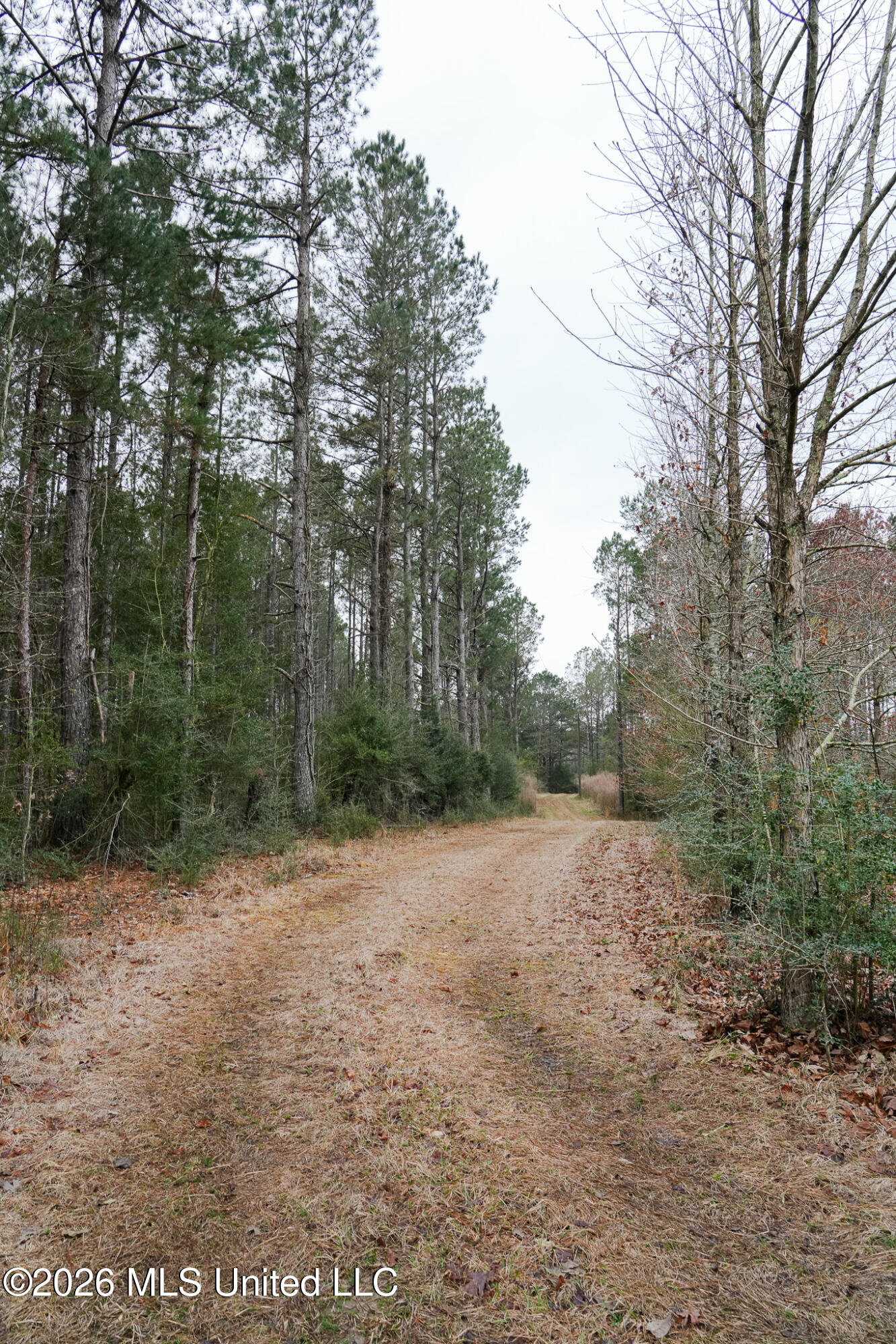 Frog Ridge Road Property Photo 5