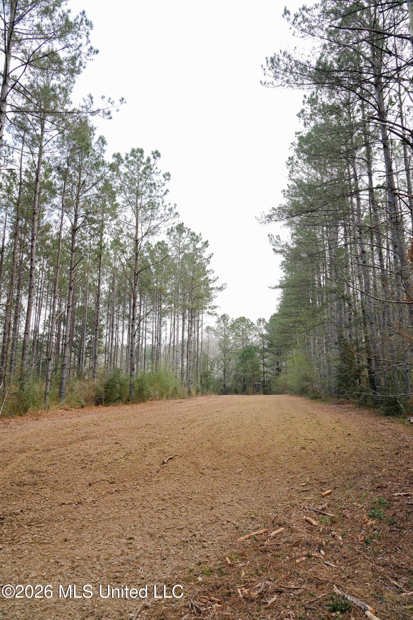 Frog Ridge Road Property Photo 6