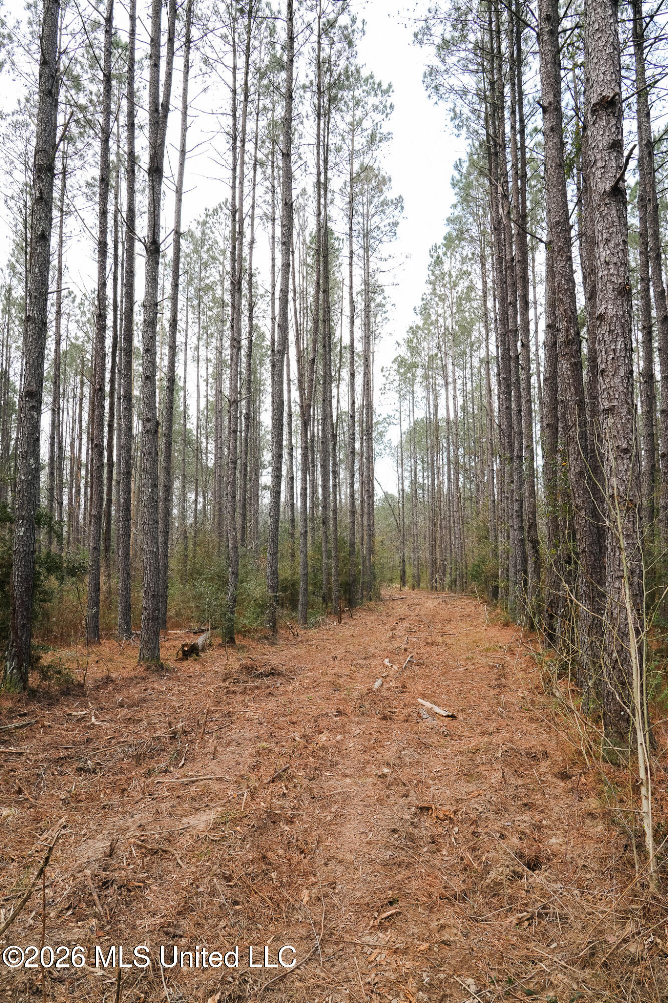 Frog Ridge Road Property Photo 7