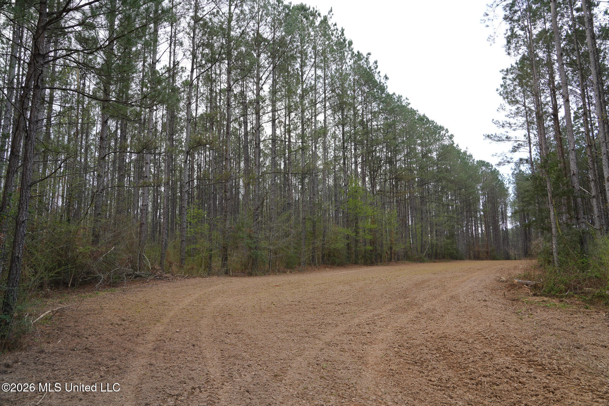 Frog Ridge Road Property Photo 9