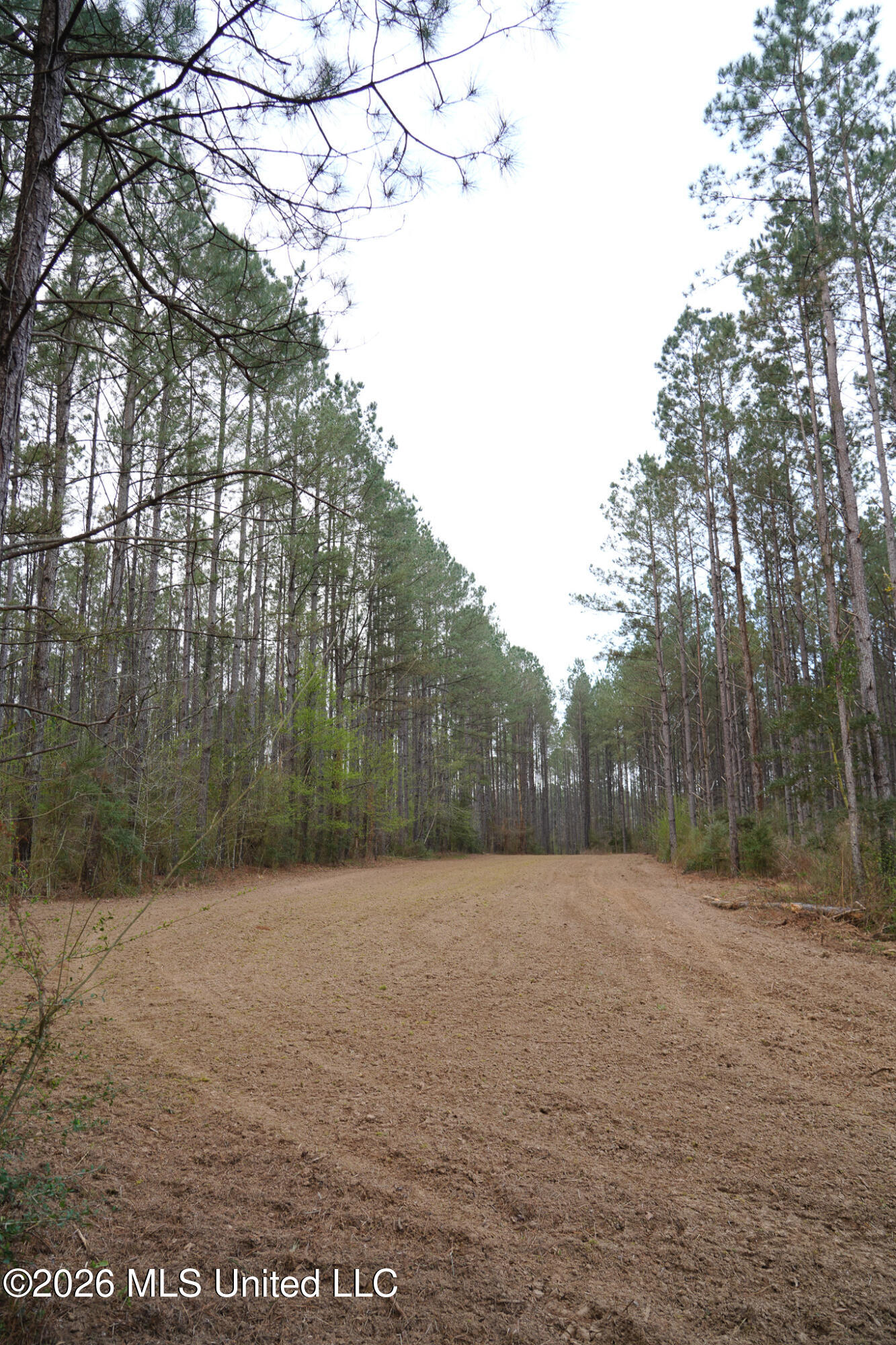 Frog Ridge Road Property Photo 10