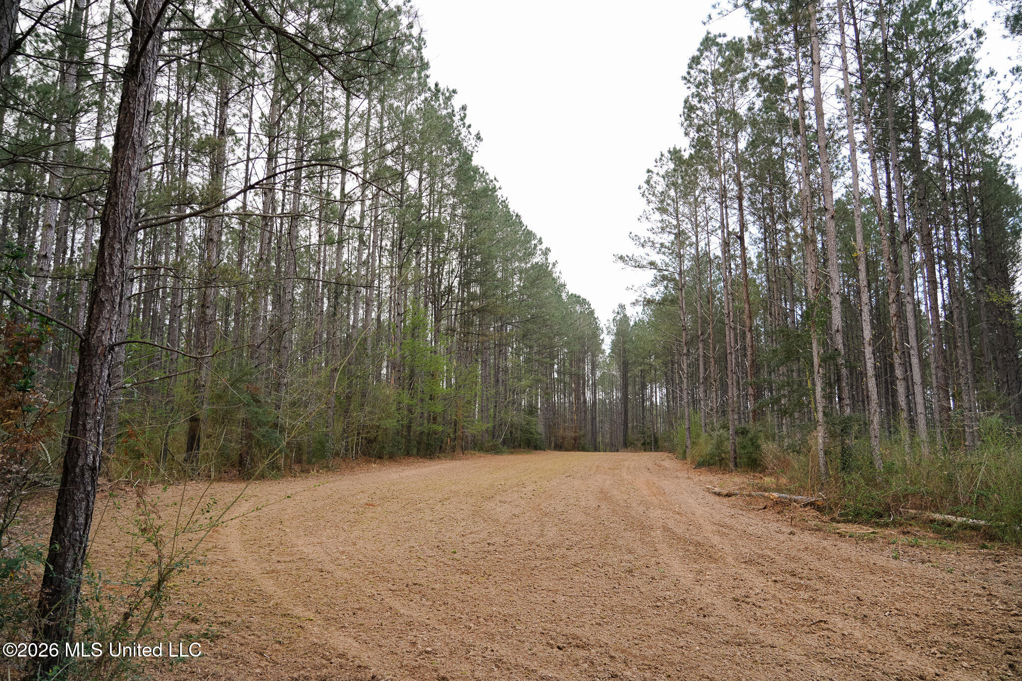 Frog Ridge Road Property Photo 11