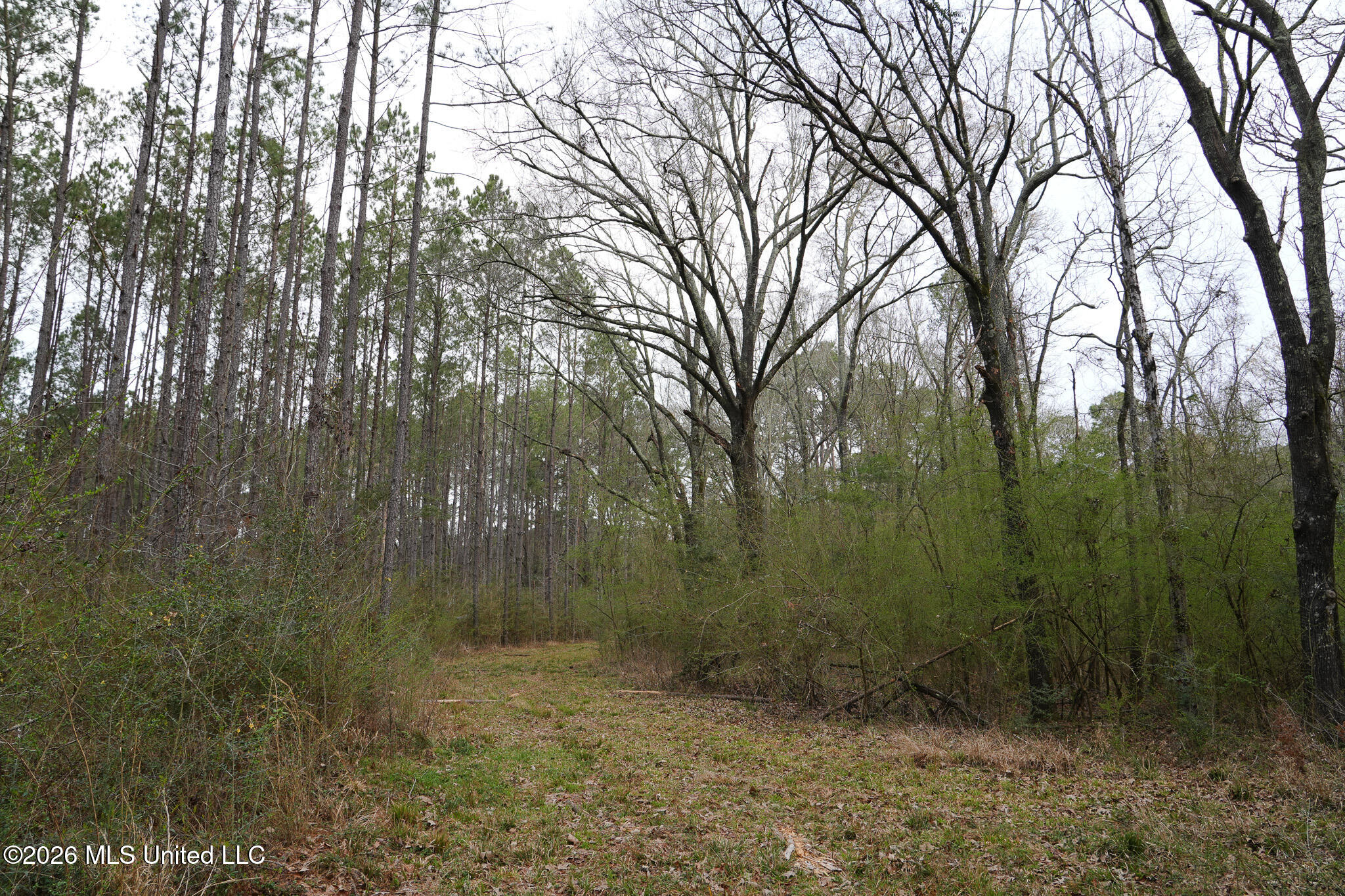 Frog Ridge Road Property Photo 12