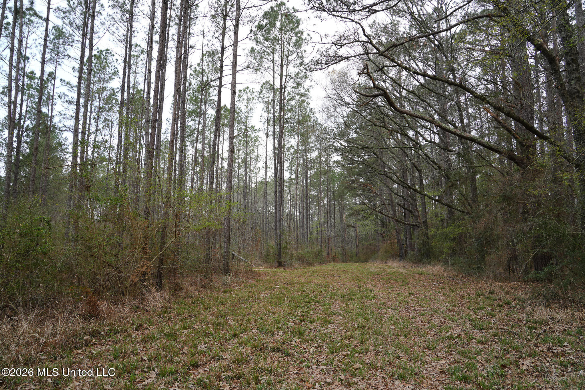 Frog Ridge Road Property Photo 13