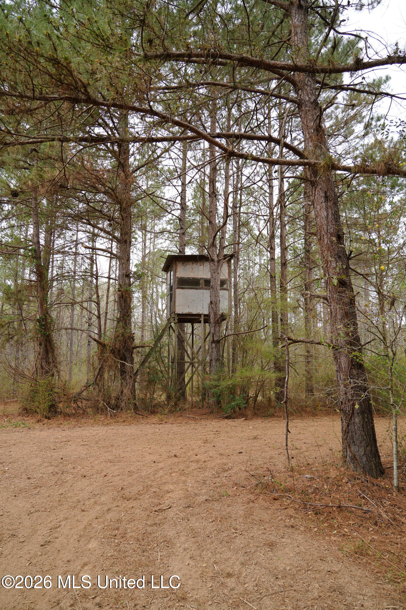 Frog Ridge Road Property Photo 16