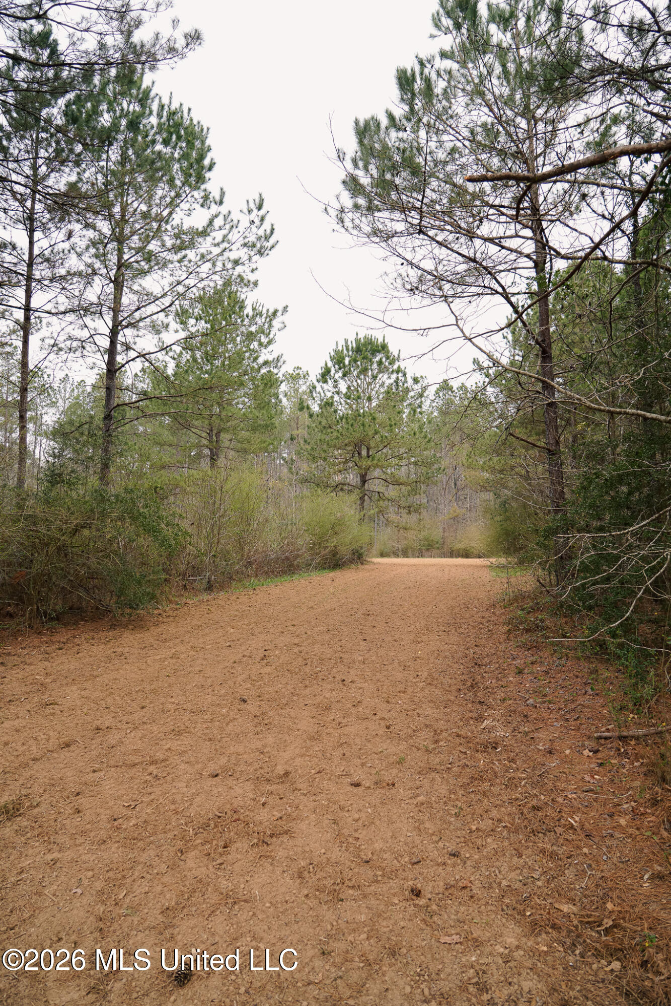 Frog Ridge Road Property Photo 17
