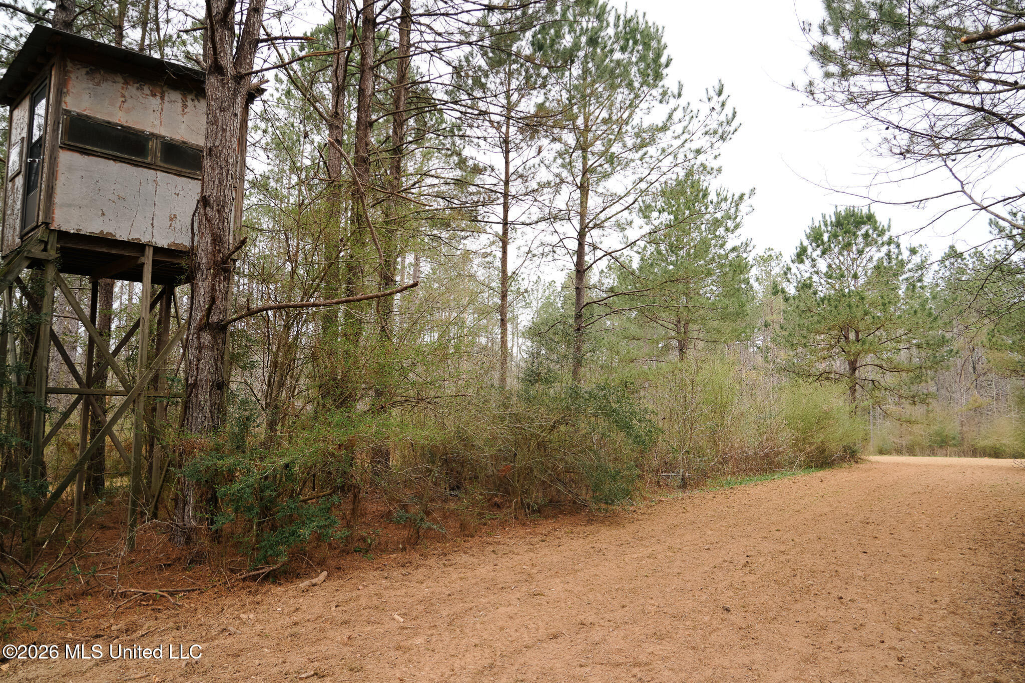 Frog Ridge Road Property Photo 18