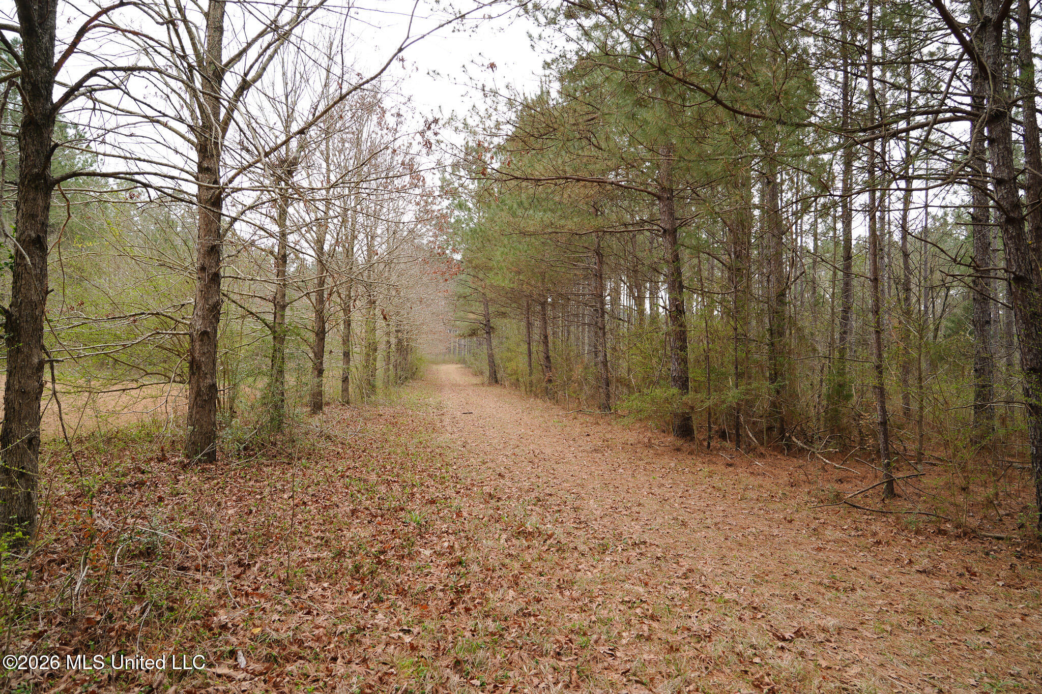 Frog Ridge Road Property Photo 19
