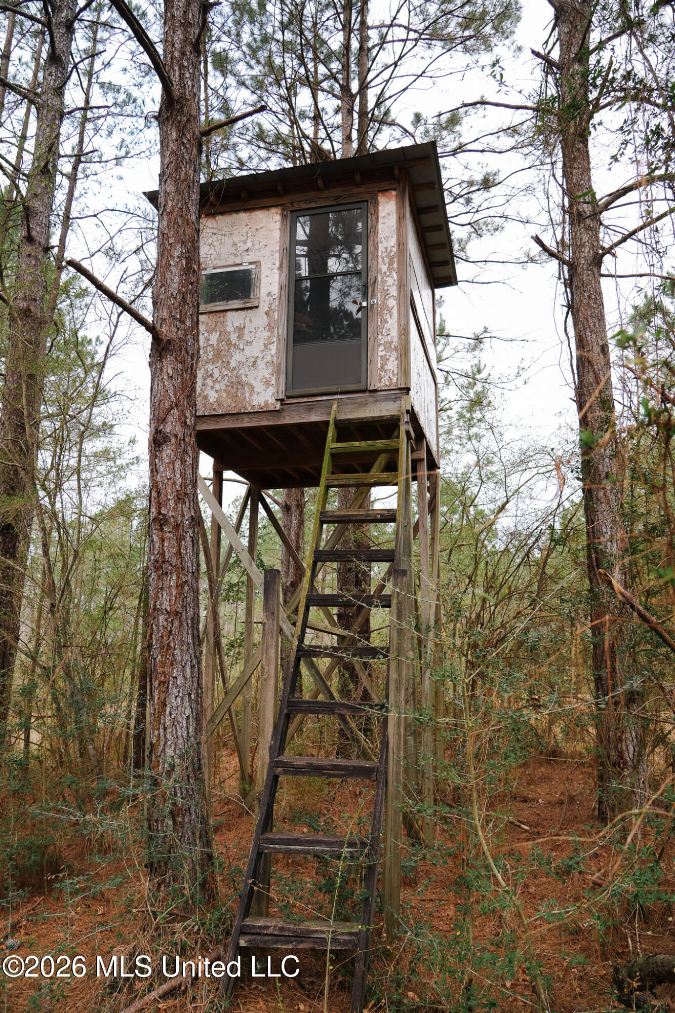 Frog Ridge Road Property Photo 20