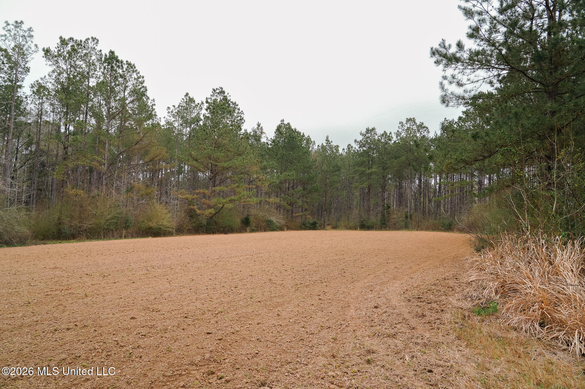 Frog Ridge Road Property Photo 22
