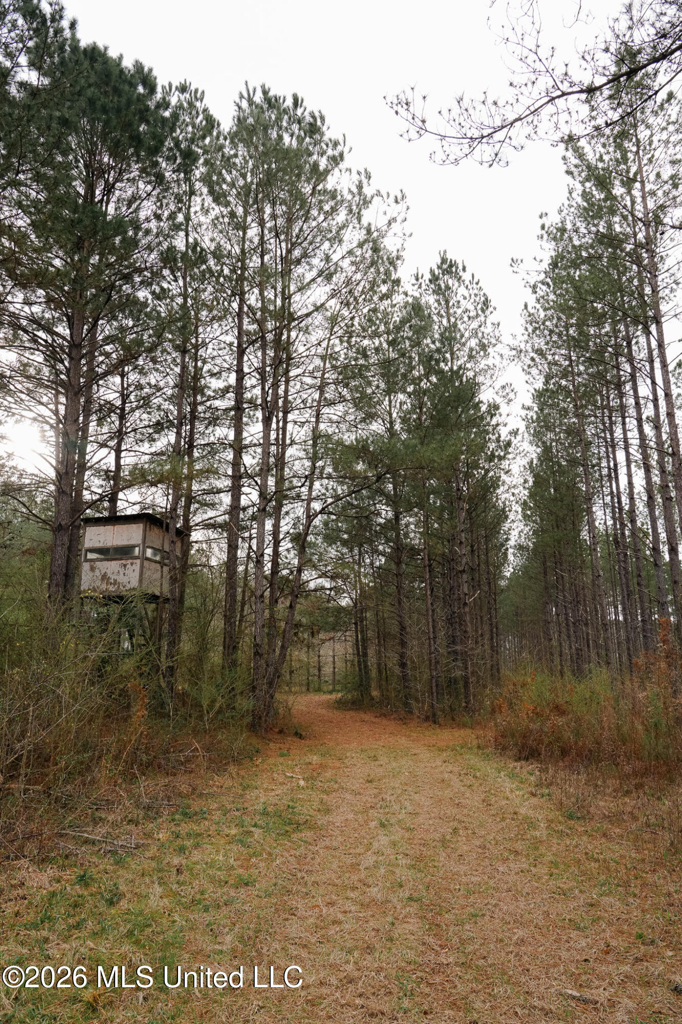 Frog Ridge Road Property Photo 23