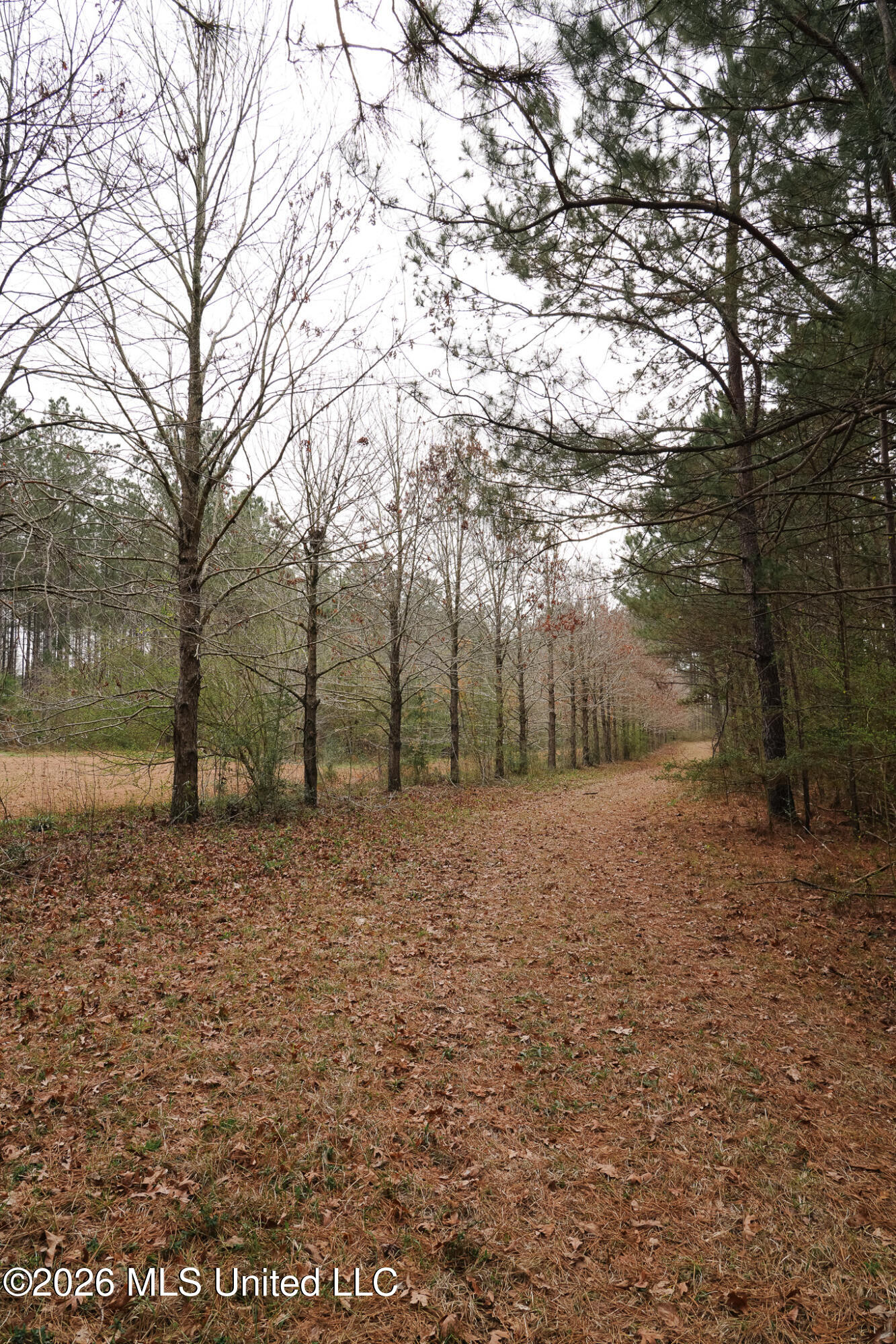 Frog Ridge Road Property Photo 25