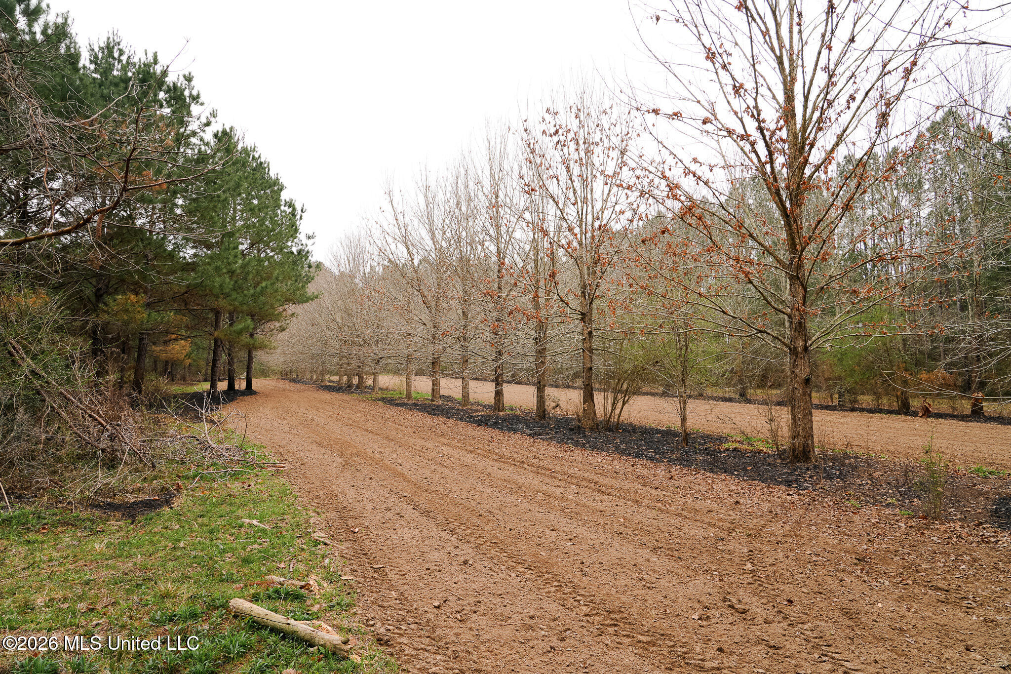 Frog Ridge Road Property Photo 26