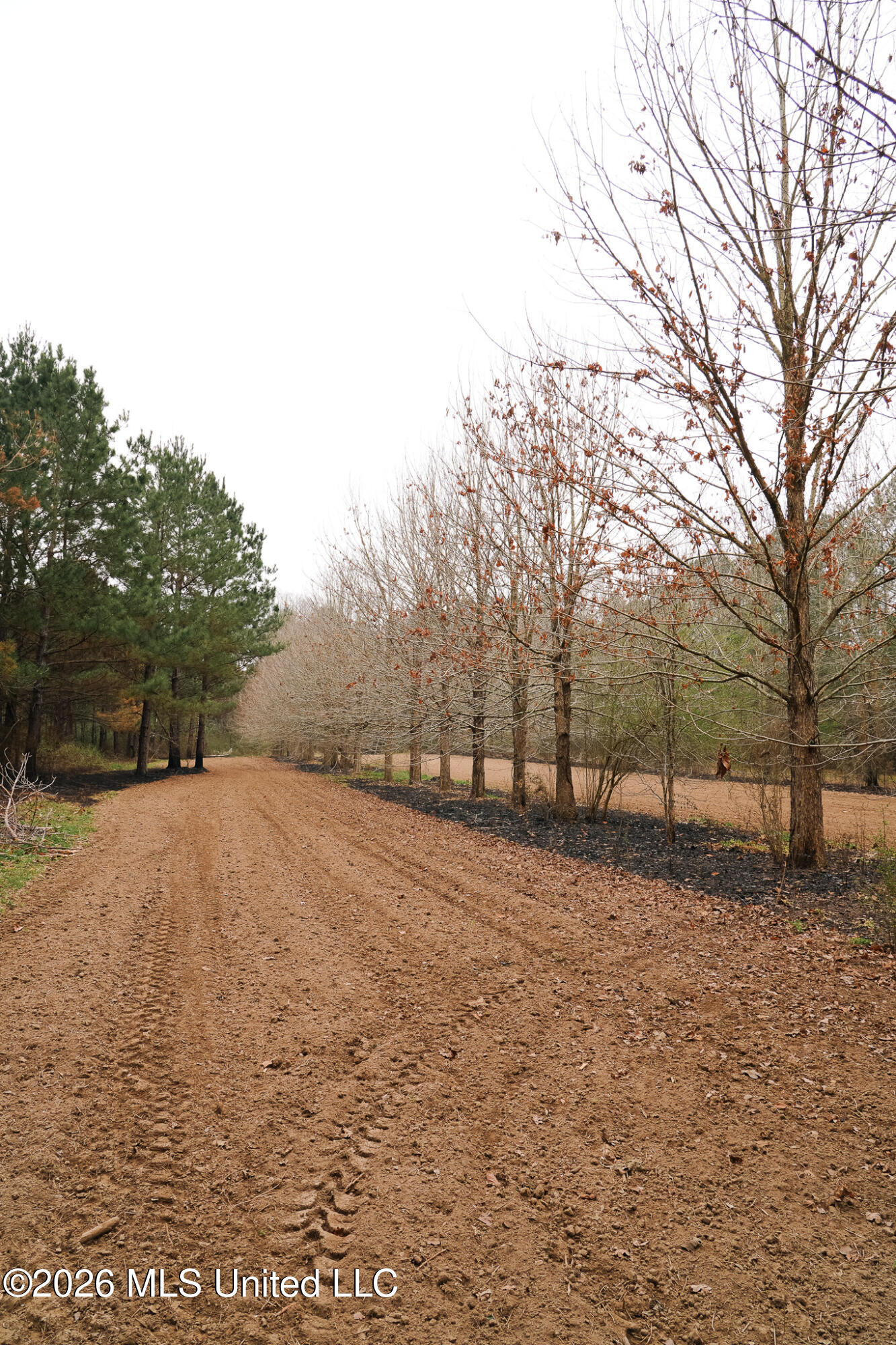 Frog Ridge Road Property Photo 27