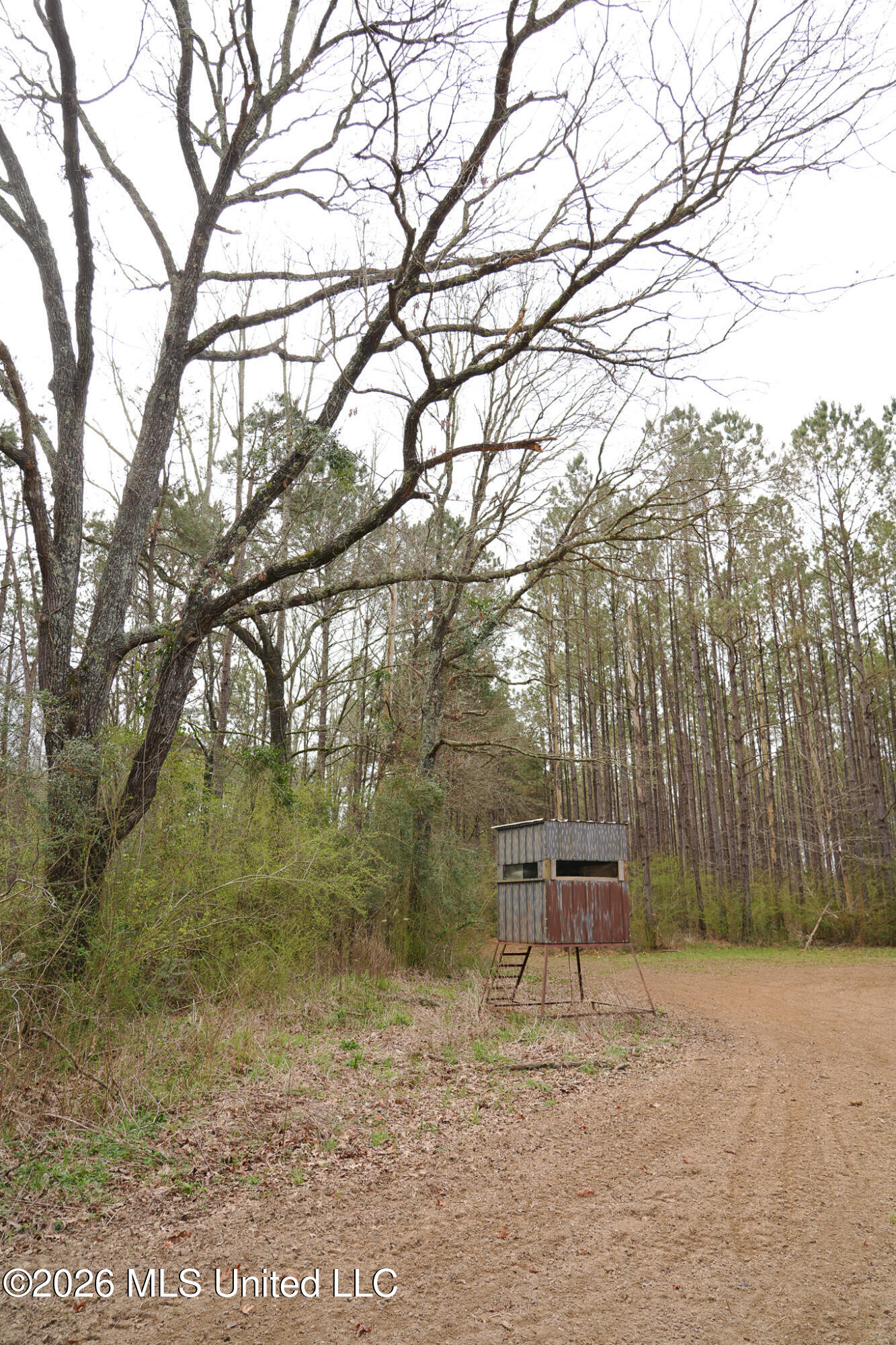 Frog Ridge Road Property Photo 28