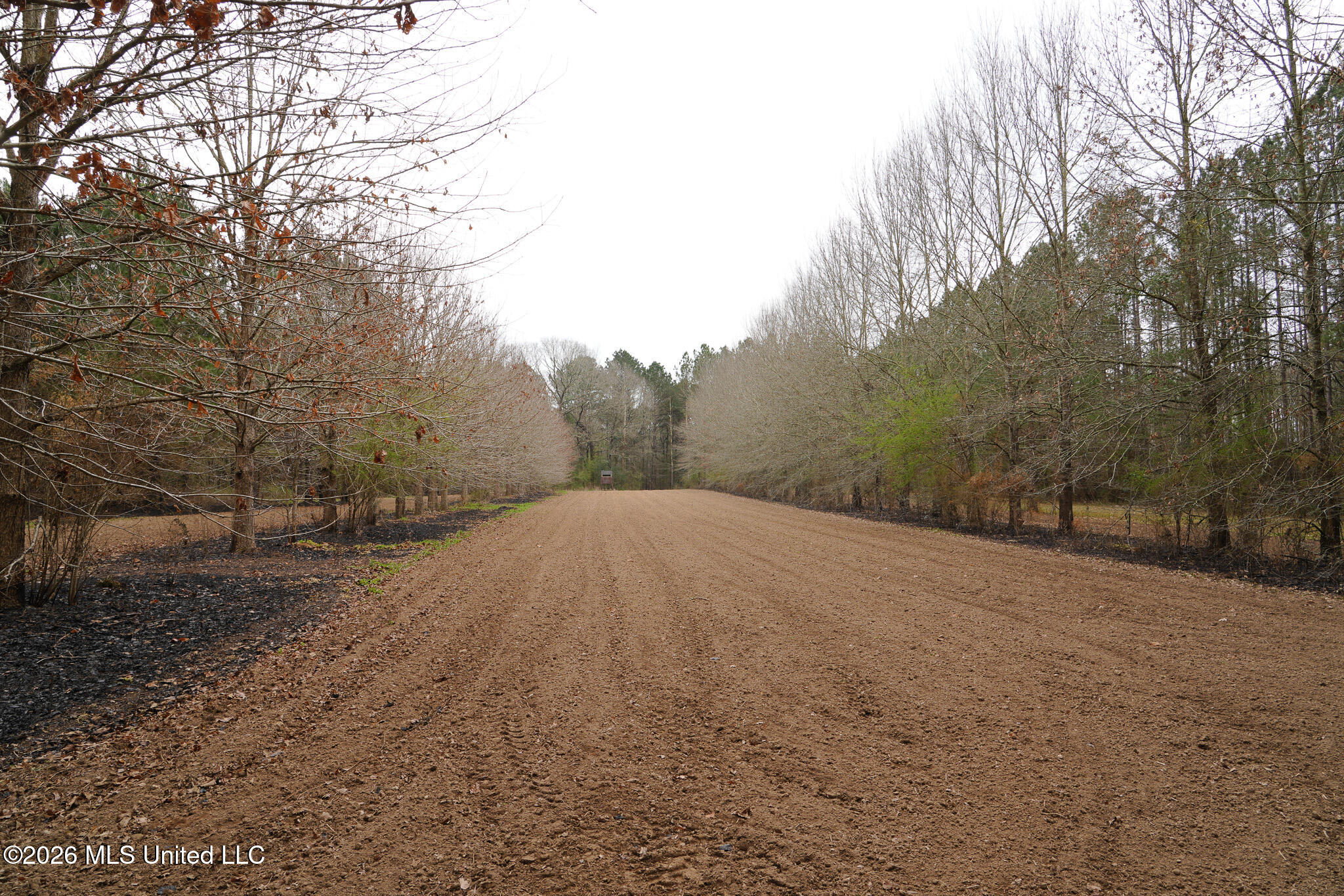 Frog Ridge Road Property Photo 29