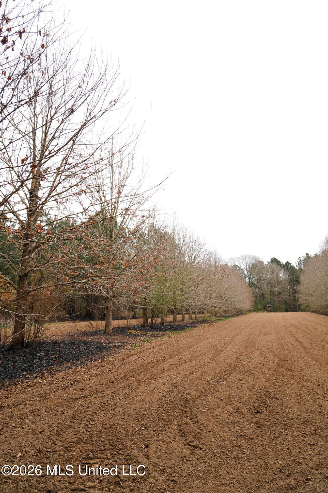 Frog Ridge Road Property Photo 30