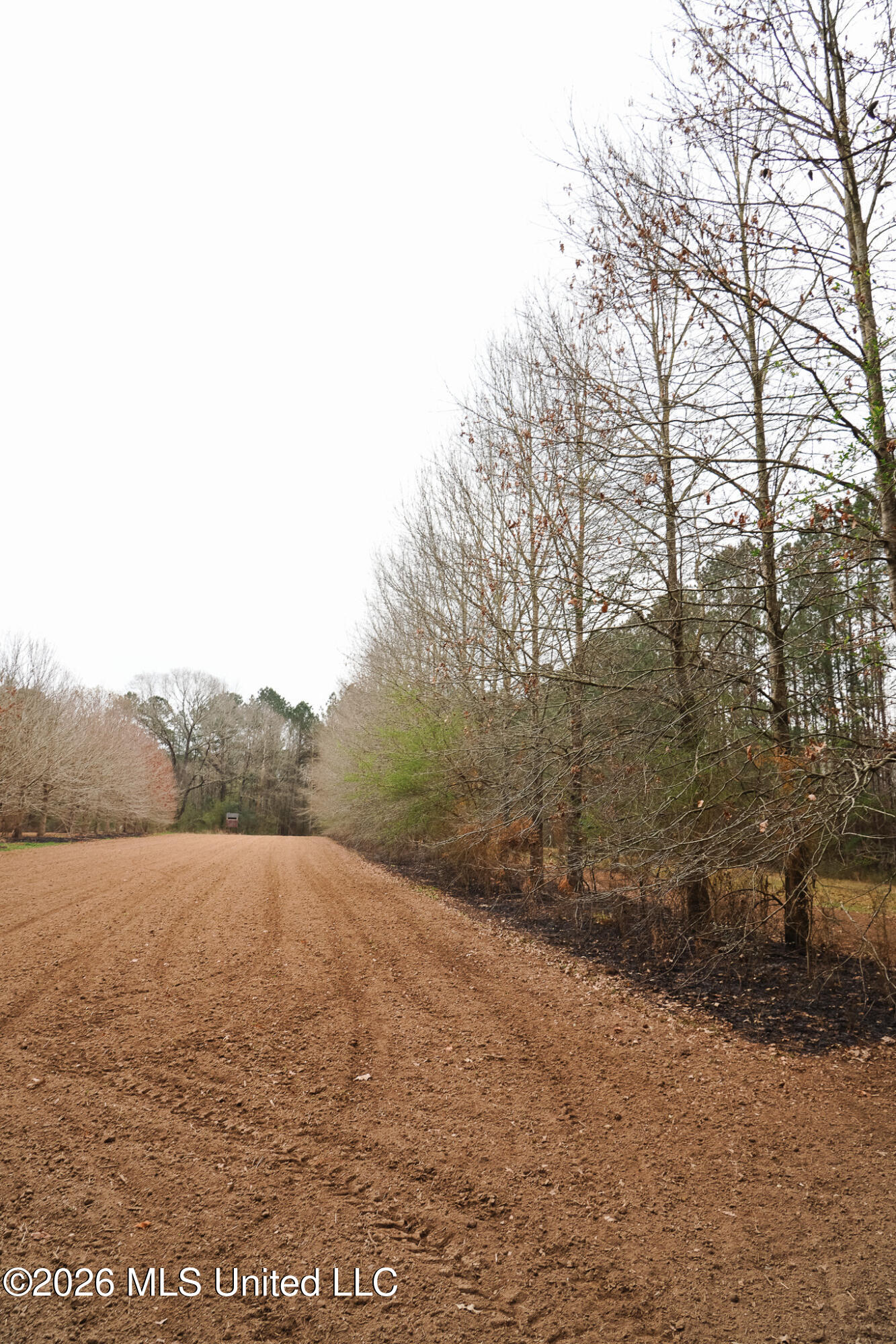 Frog Ridge Road Property Photo 31