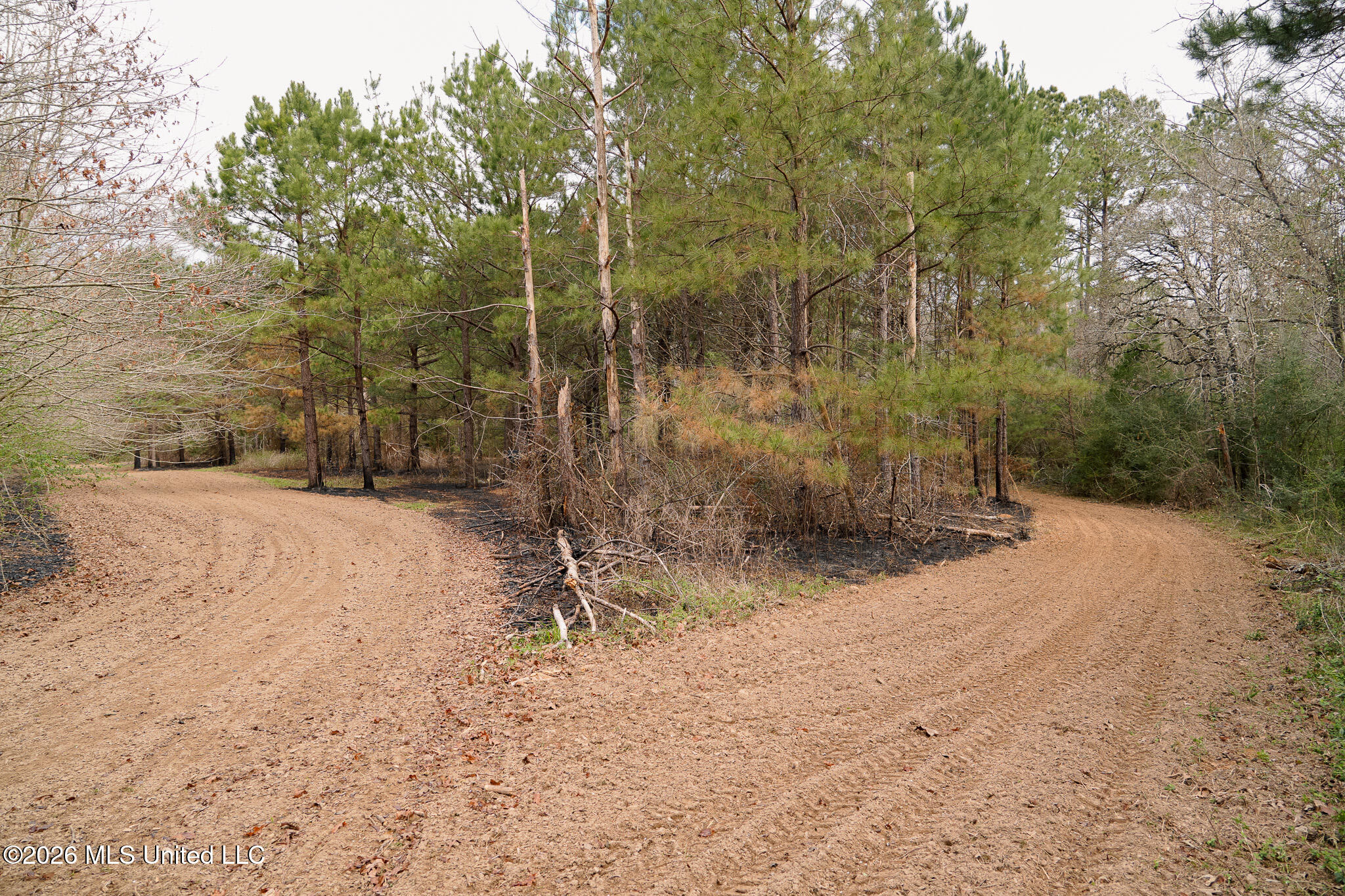 Frog Ridge Road Property Photo 32