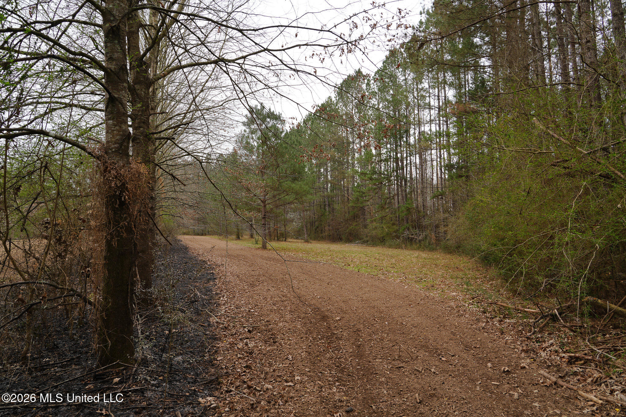 Frog Ridge Road Property Photo 33