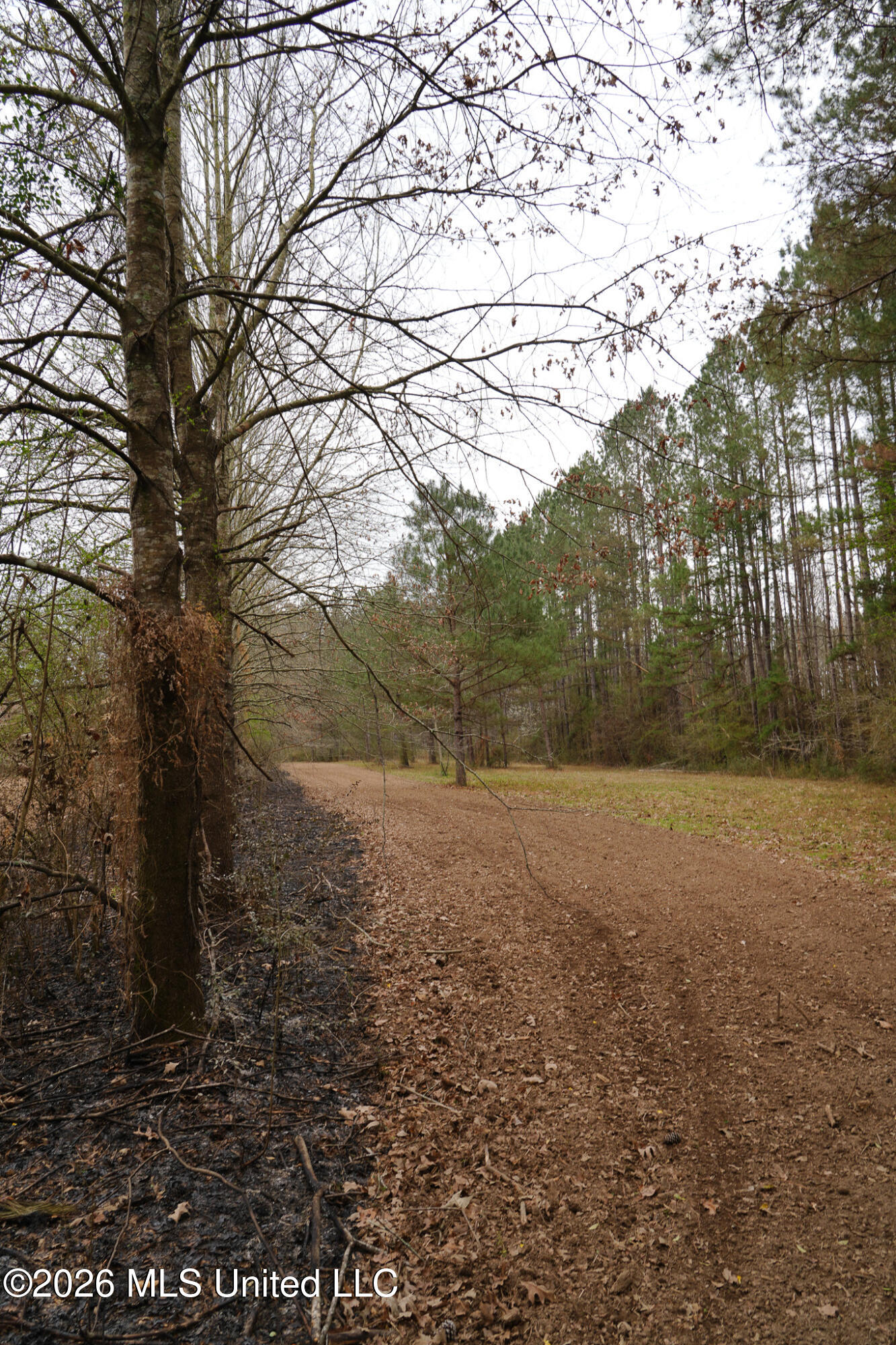 Frog Ridge Road Property Photo 34
