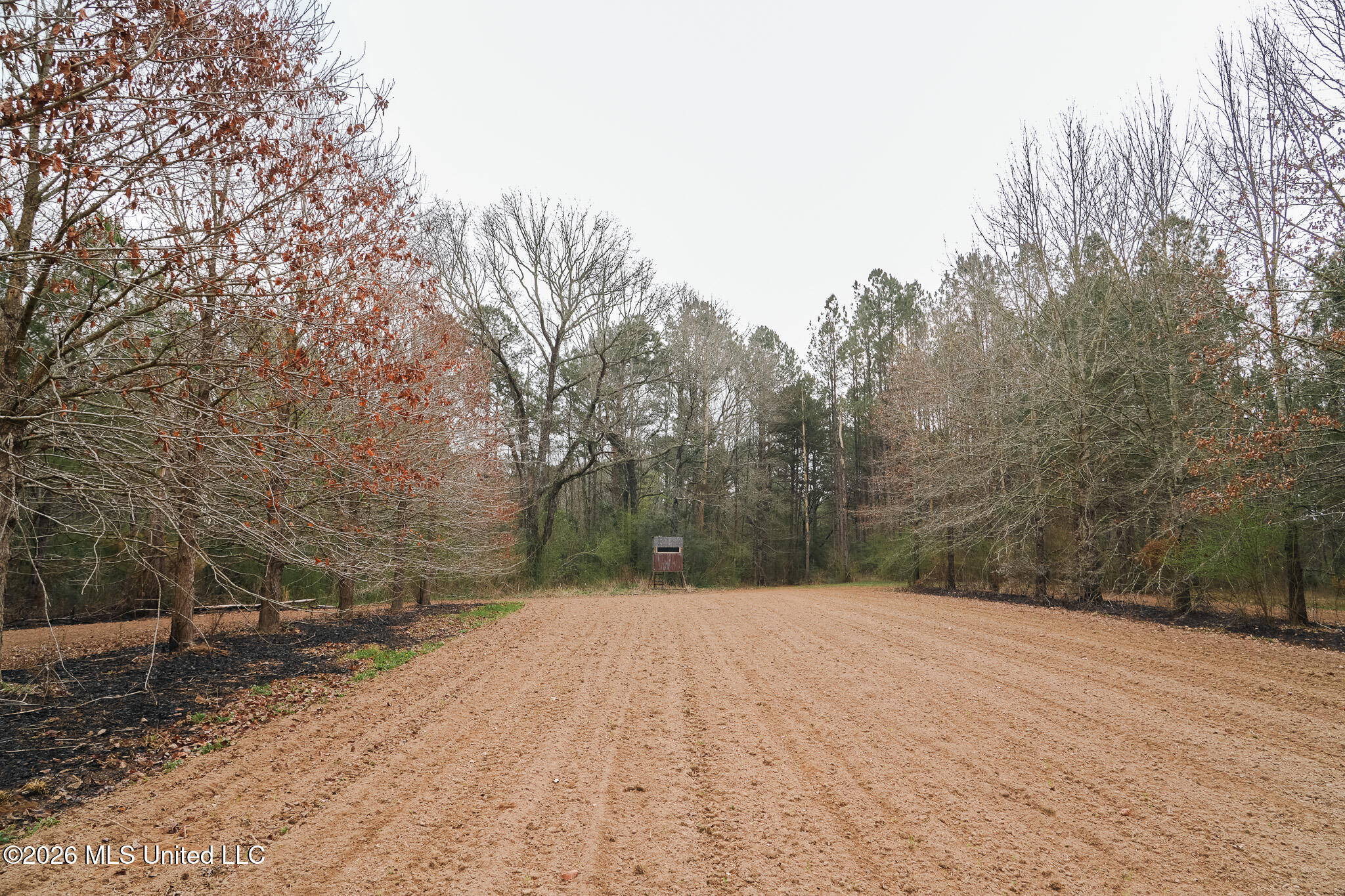 Frog Ridge Road Property Photo 35