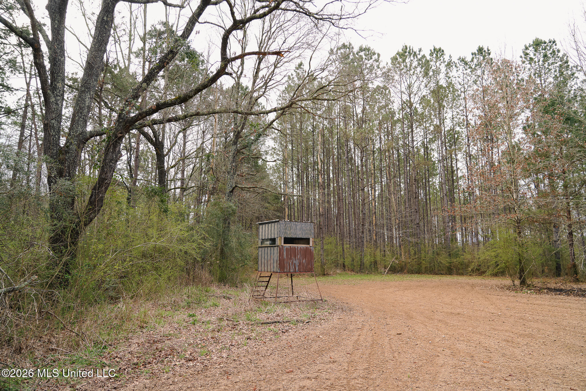 Frog Ridge Road Property Photo 36