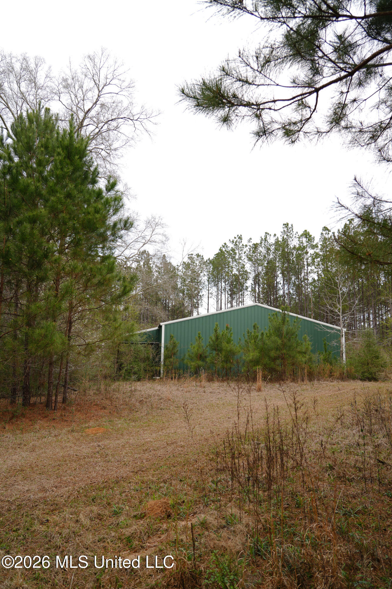 Frog Ridge Road Property Photo 44