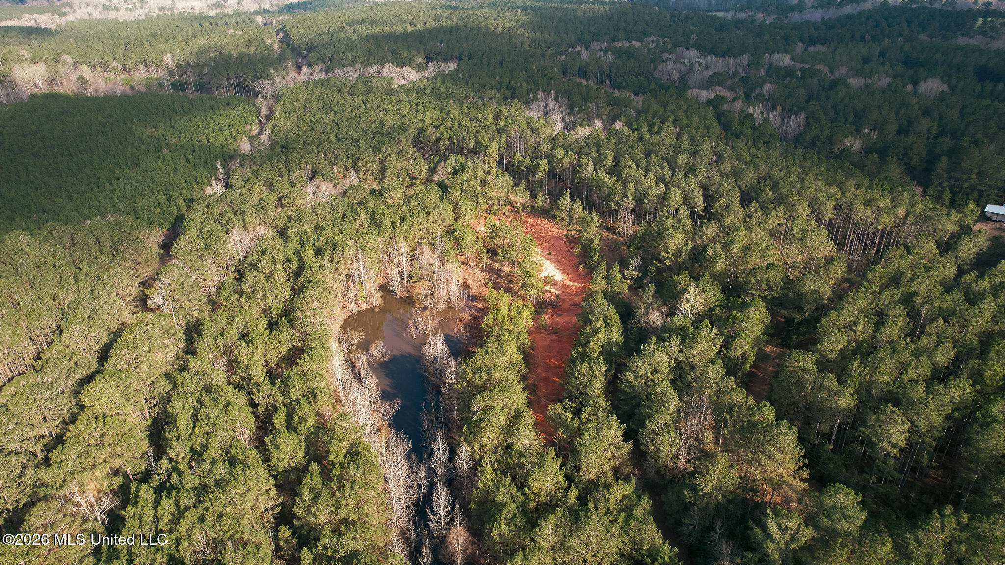 Frog Ridge Road Property Photo 46