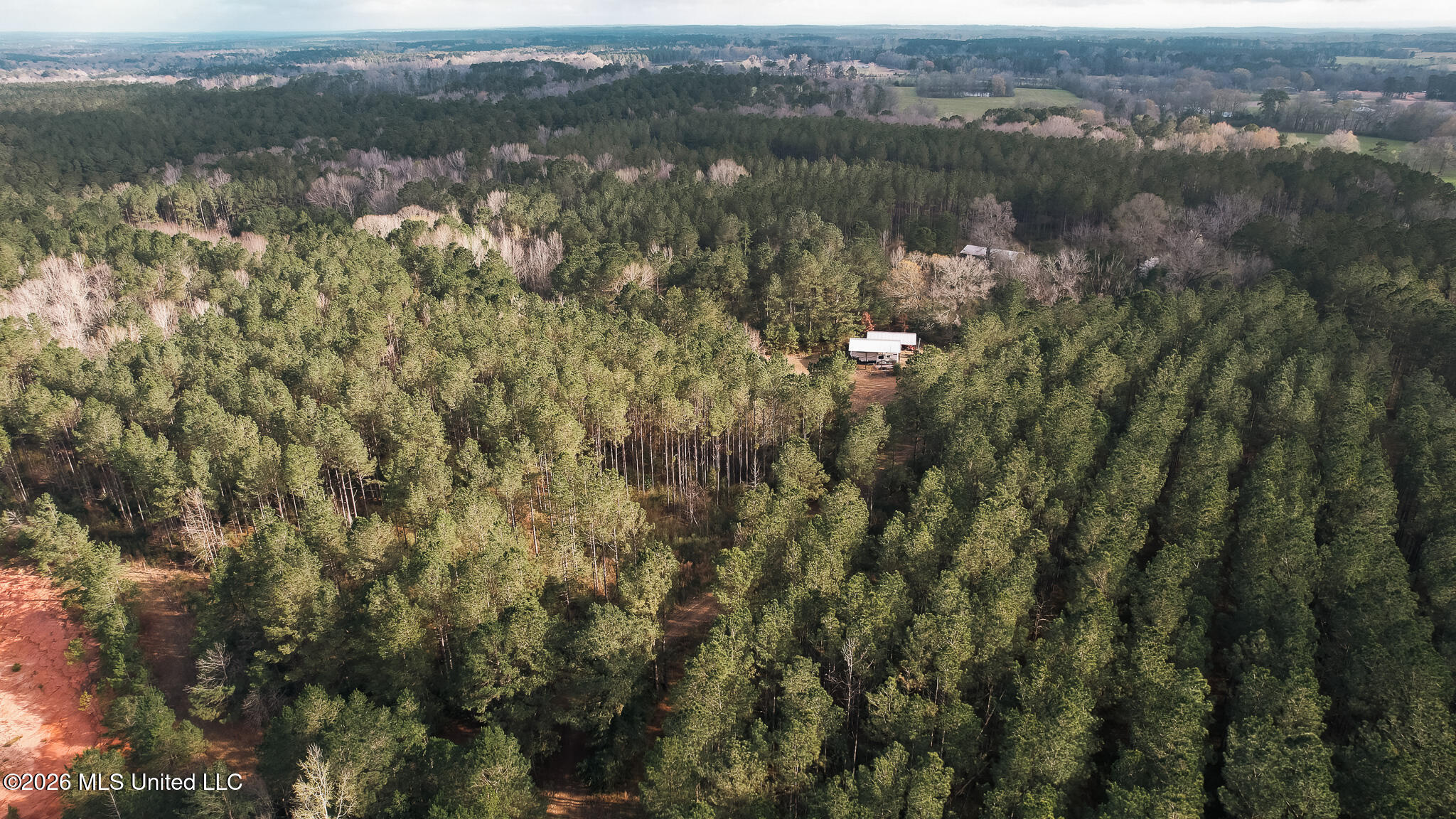 Frog Ridge Road Property Photo 47